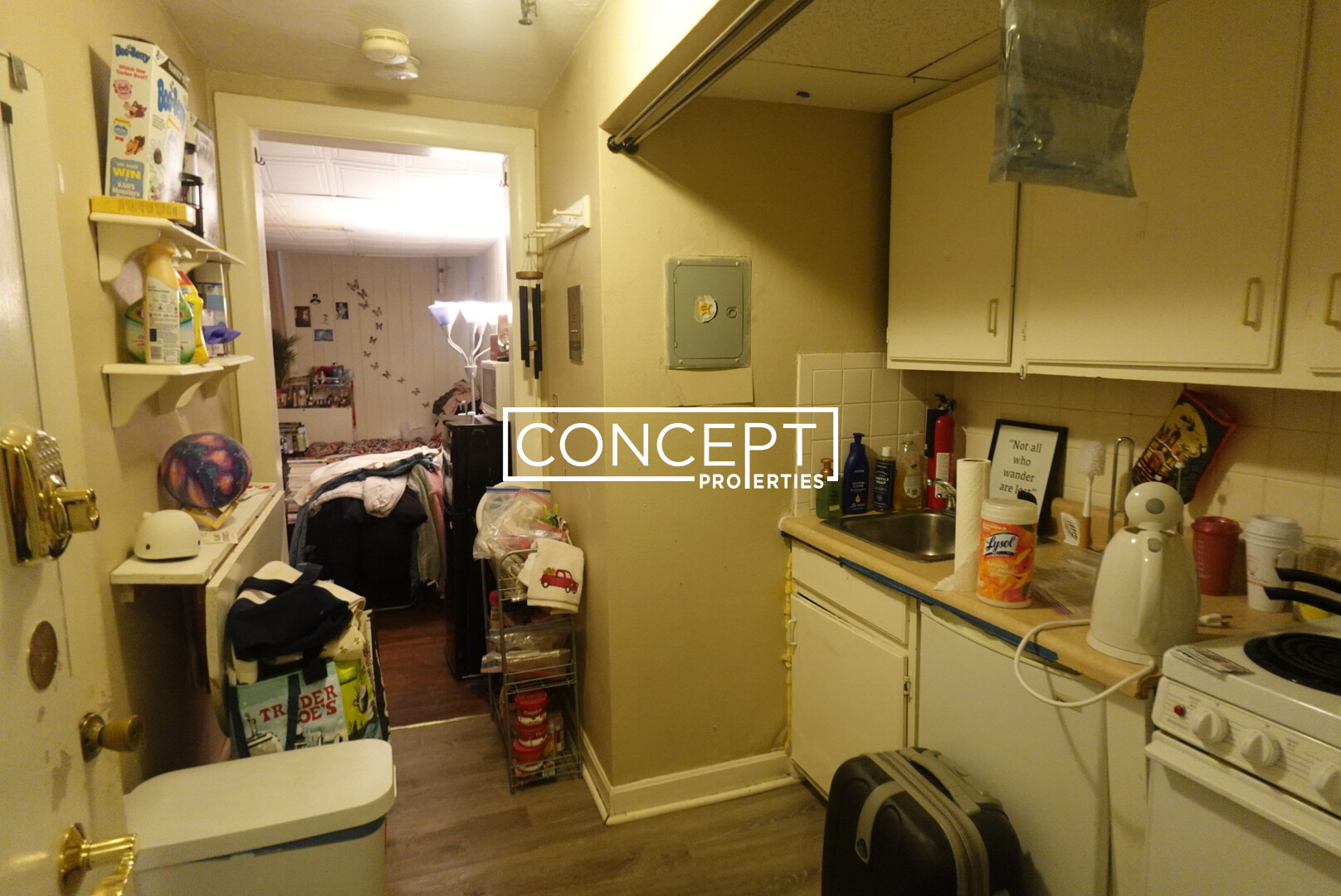 Concept Properties