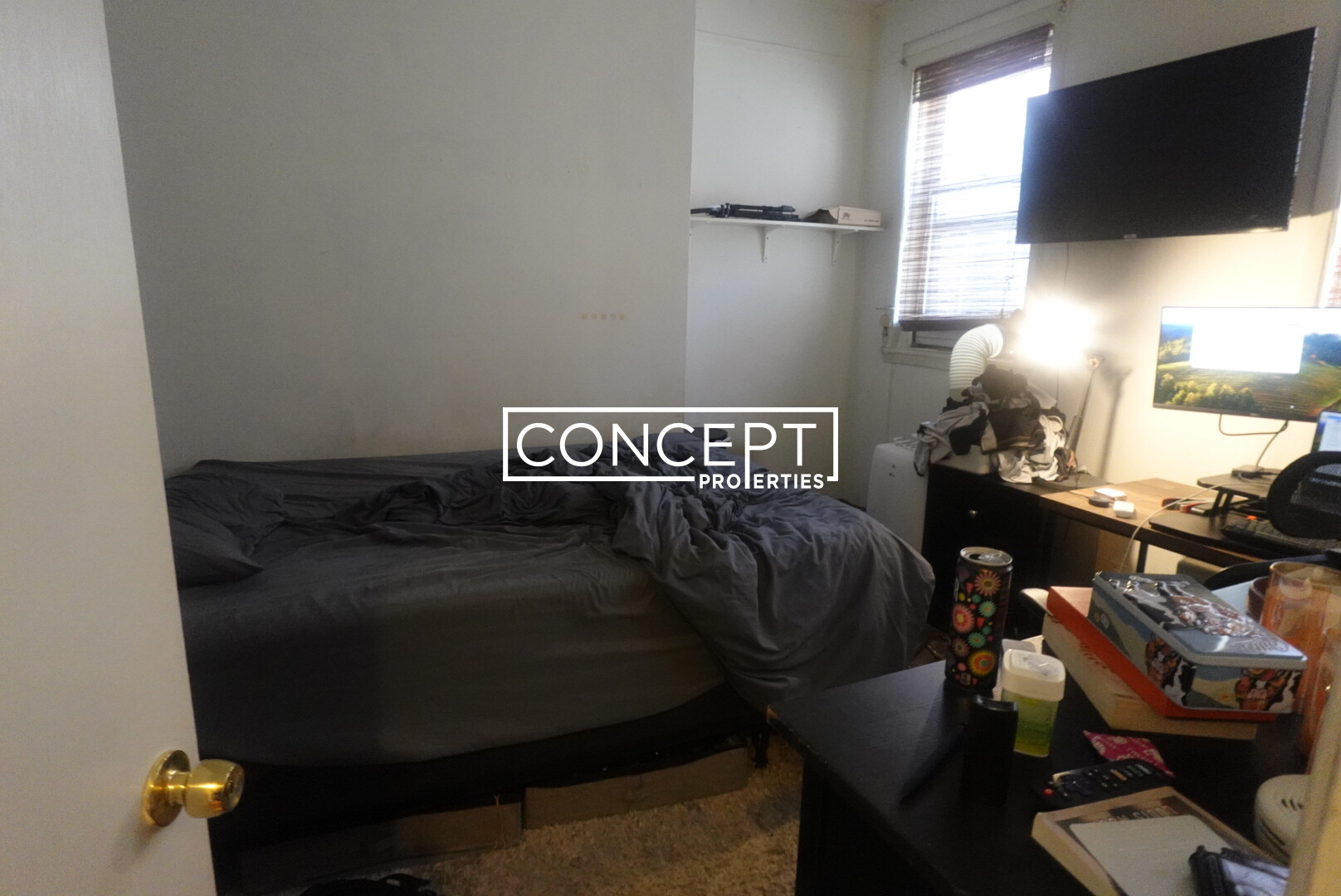 Concept Properties