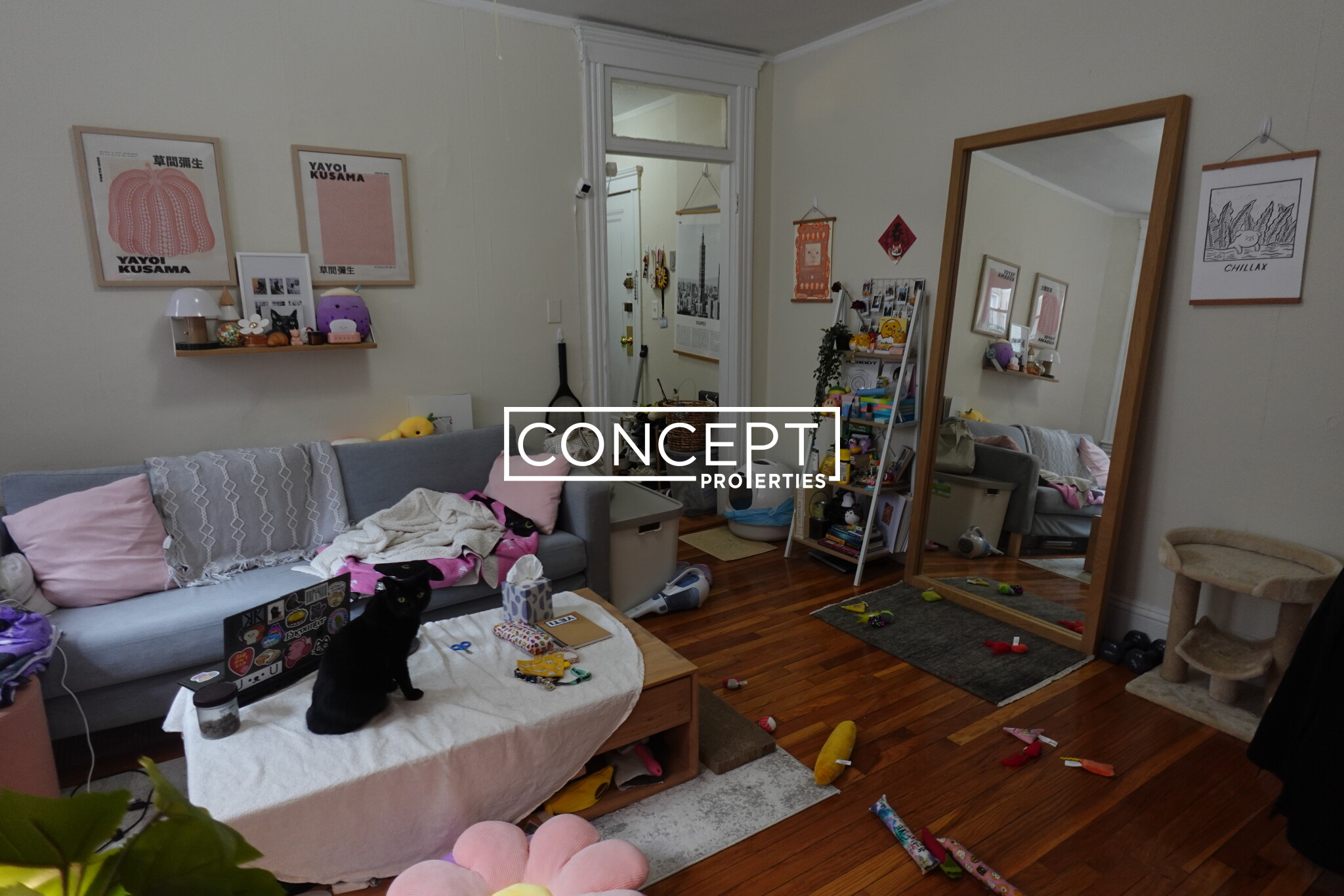 Concept Properties