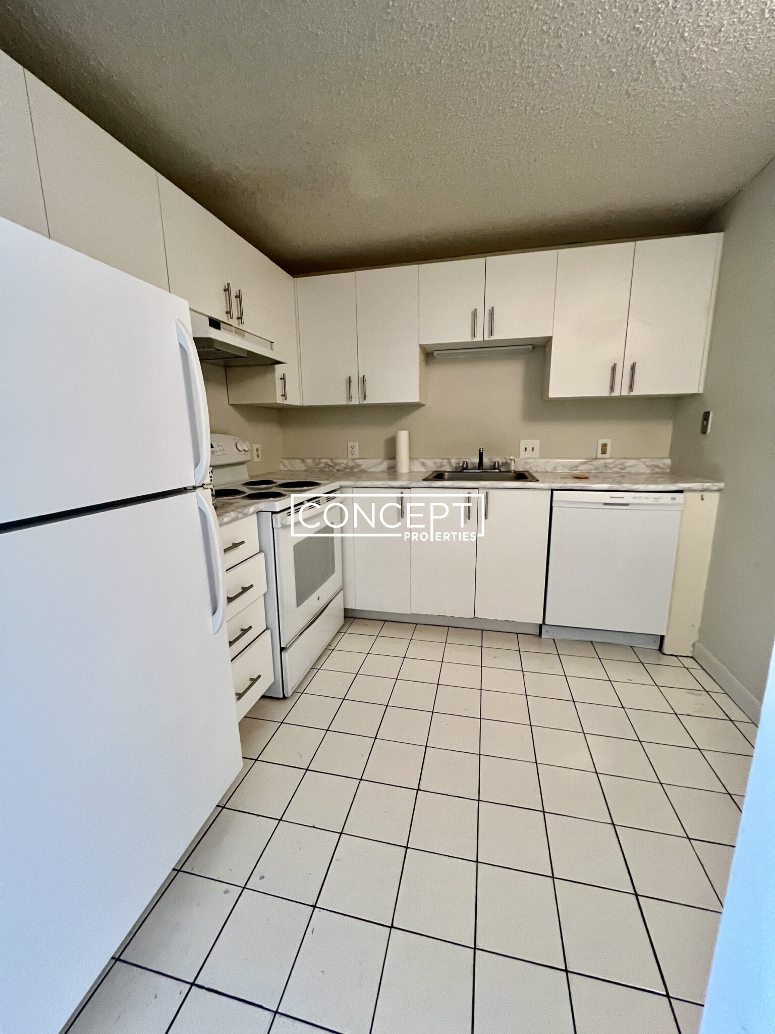 Concept Properties