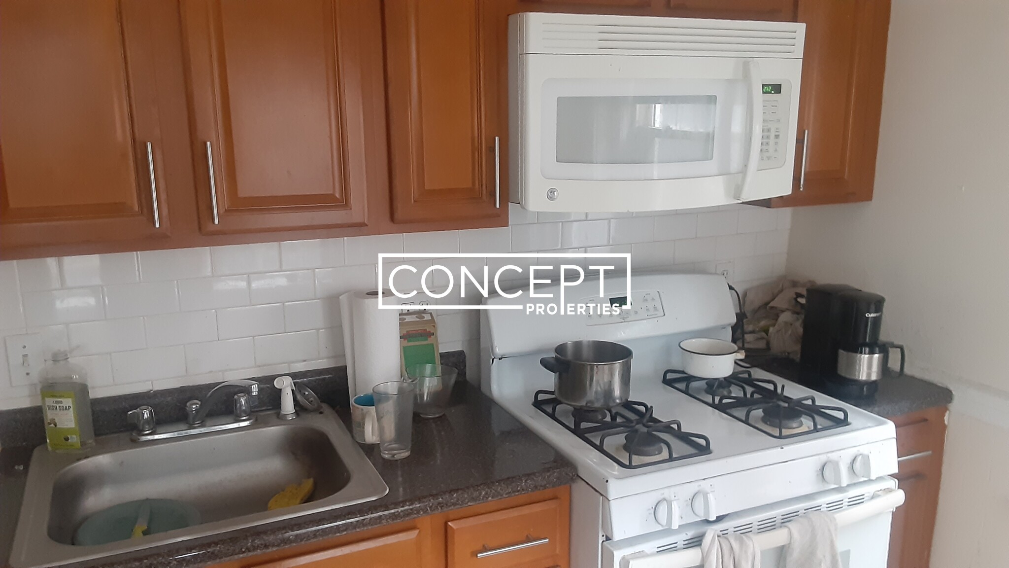 Concept Properties