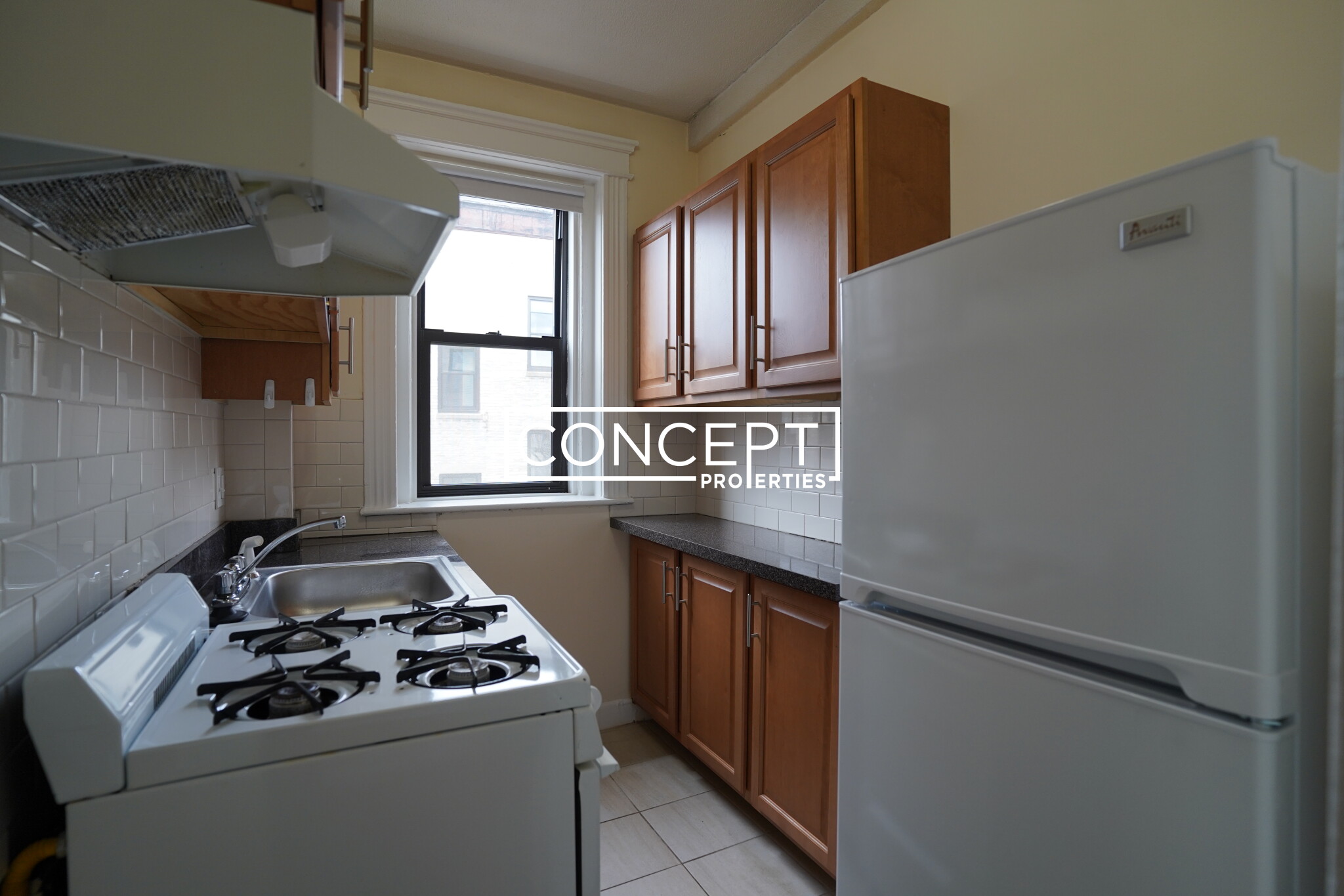 Concept Properties