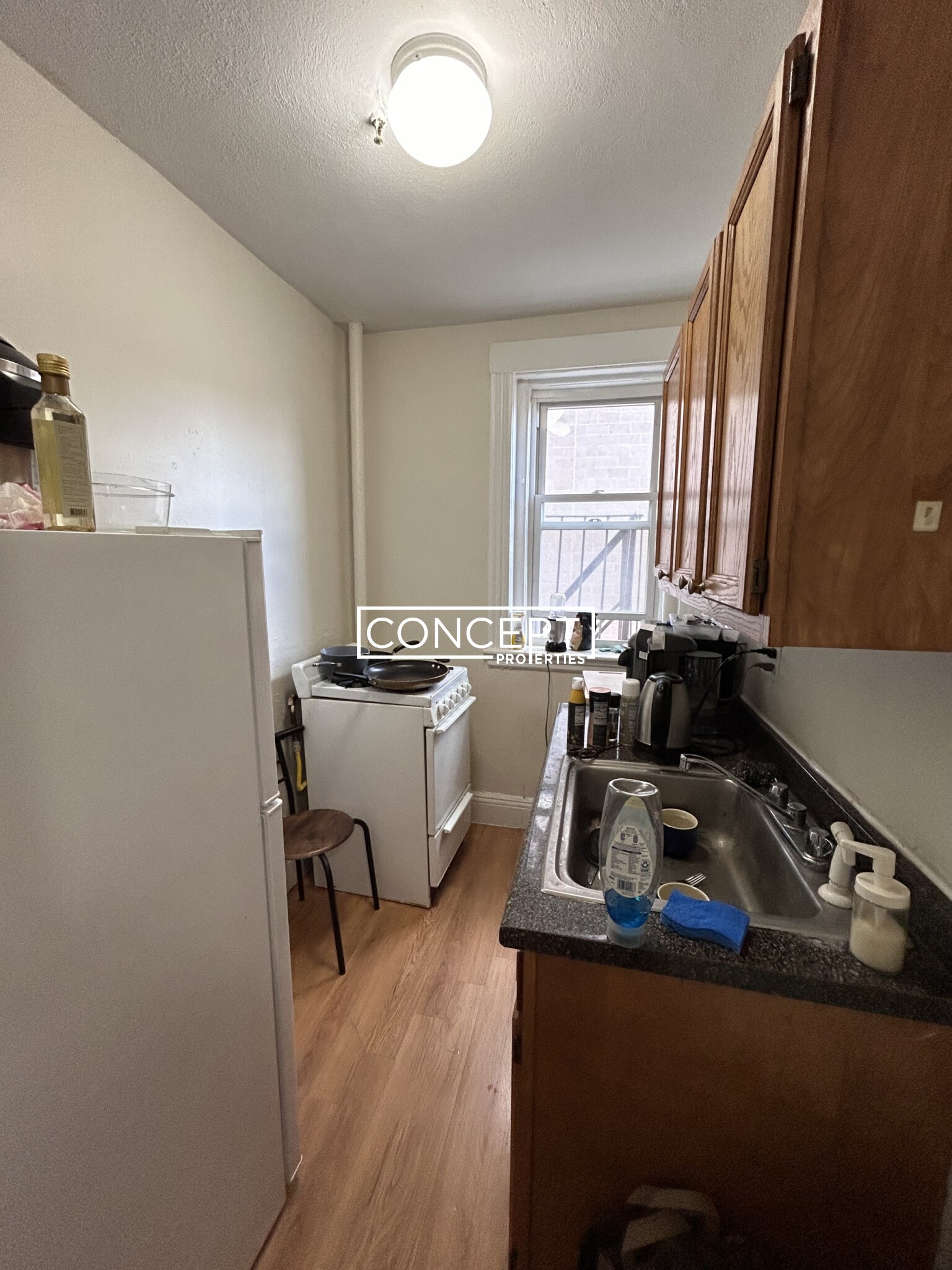 Concept Properties