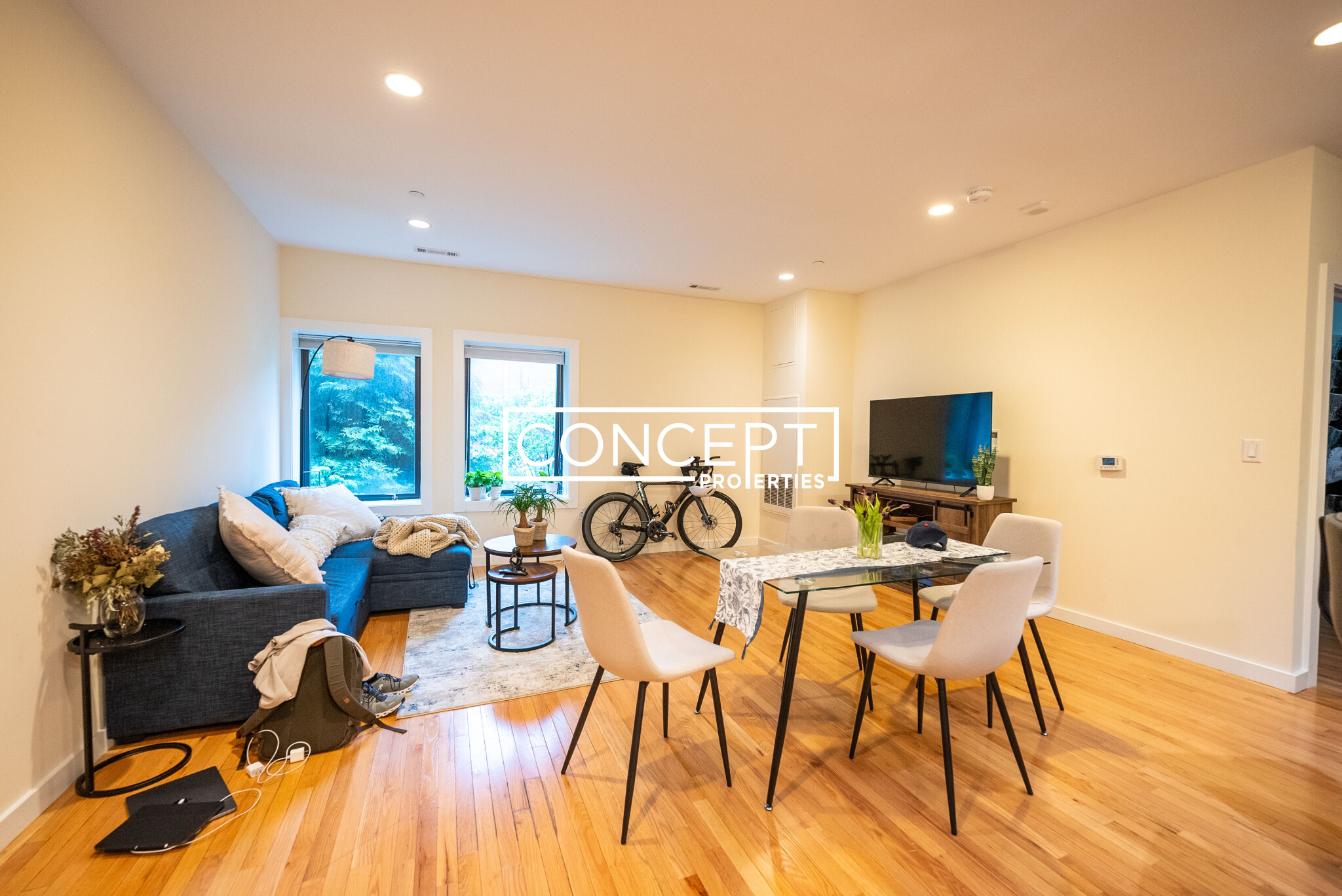 Concept Properties