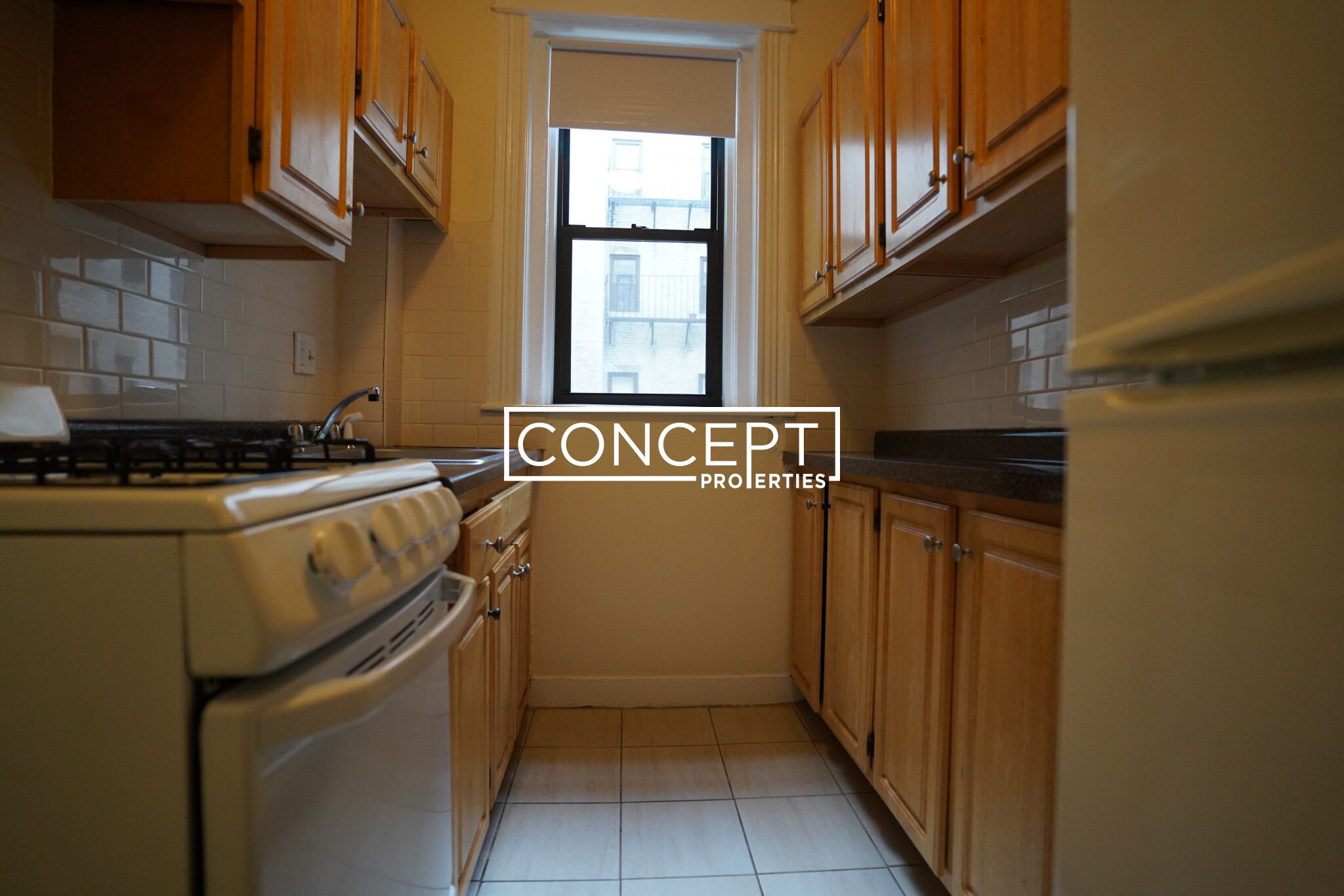 Concept Properties