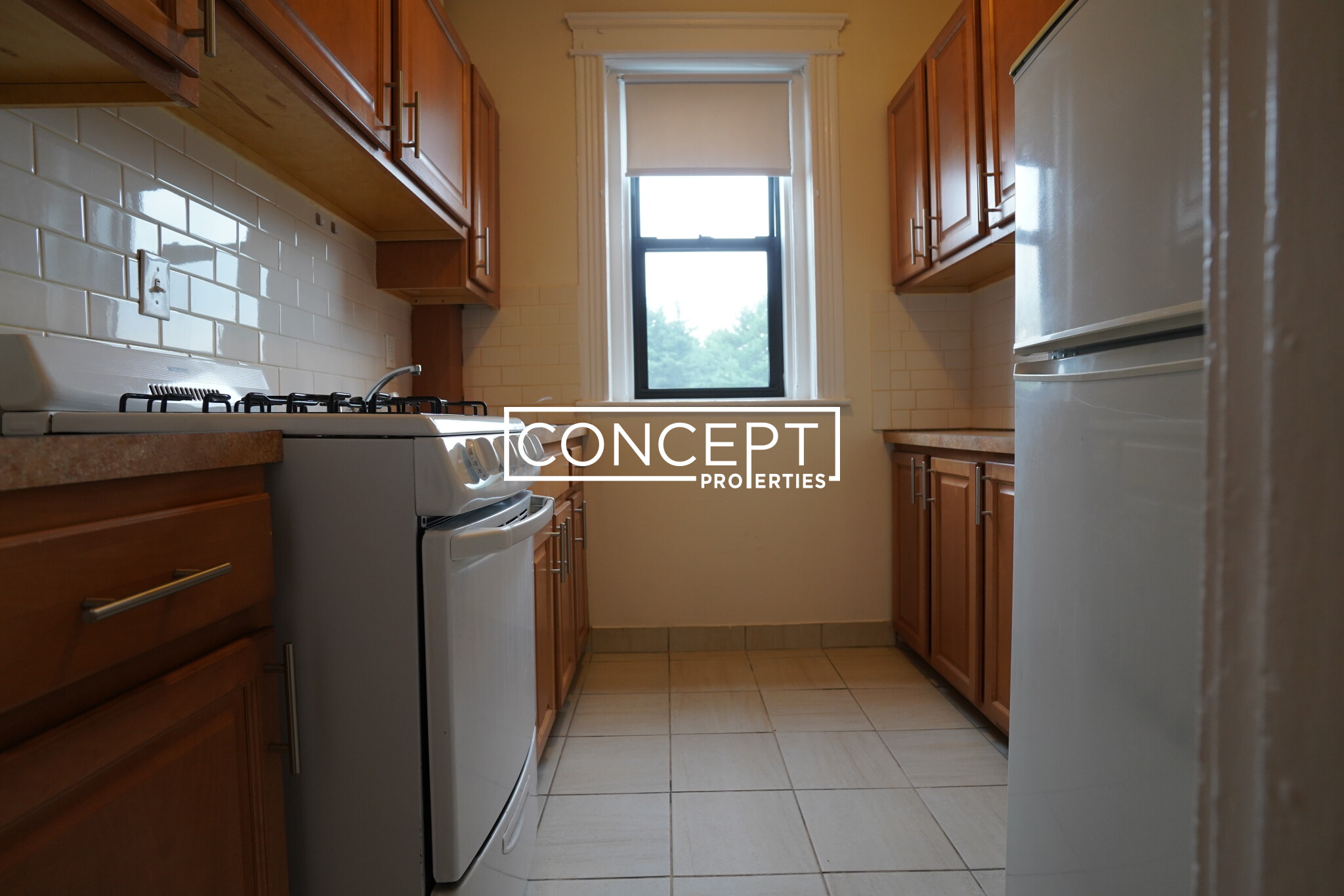 Concept Properties