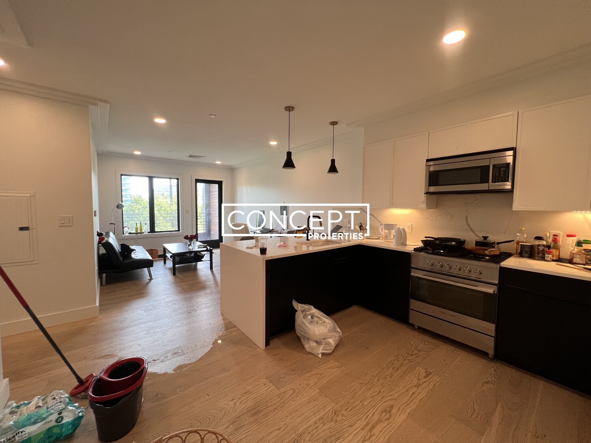 Concept Properties