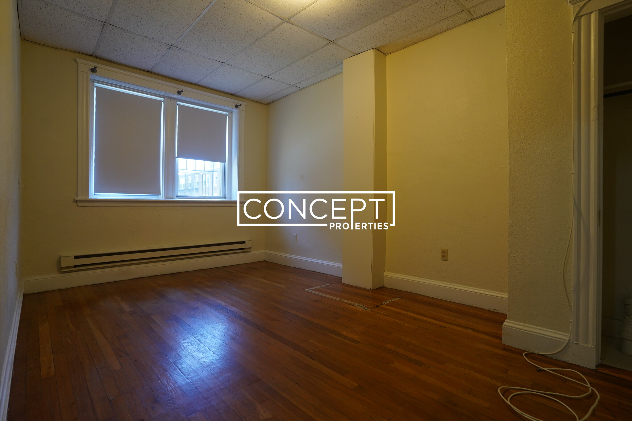 Concept Properties