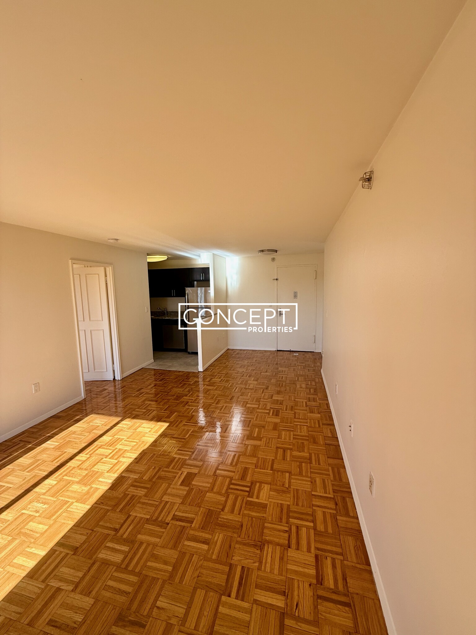 Concept Properties
