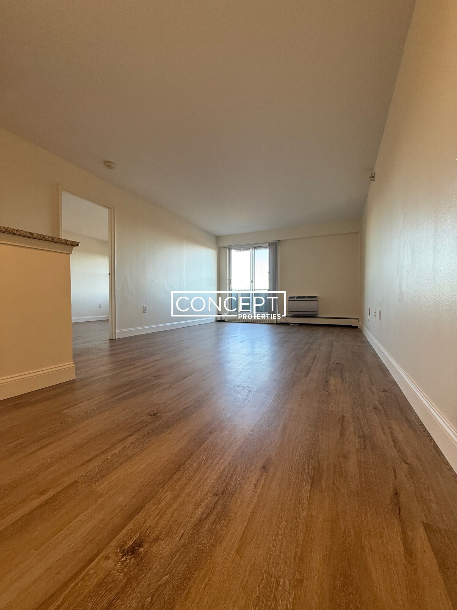Concept Properties