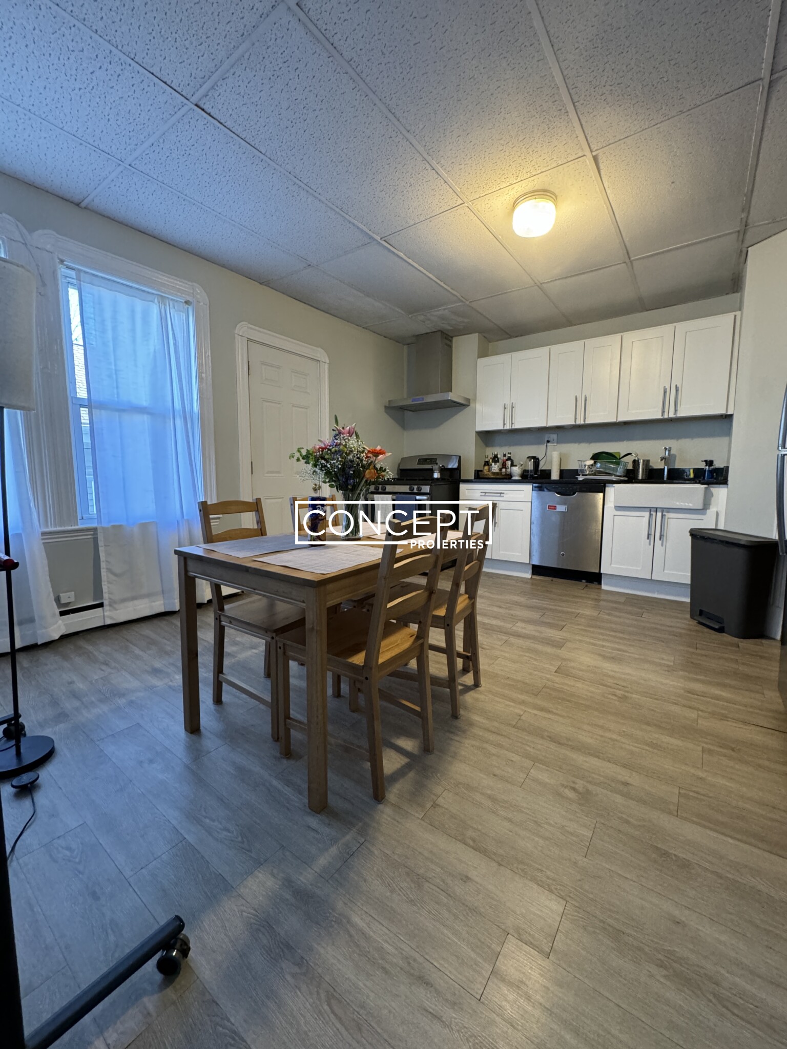 Concept Properties