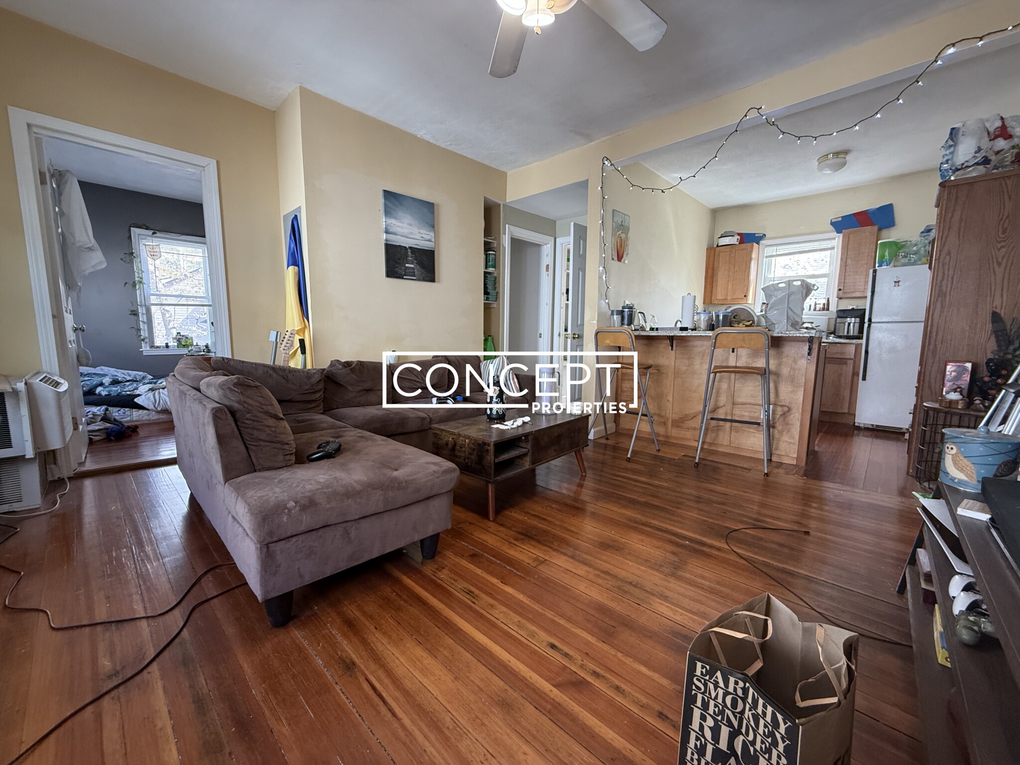 Concept Properties