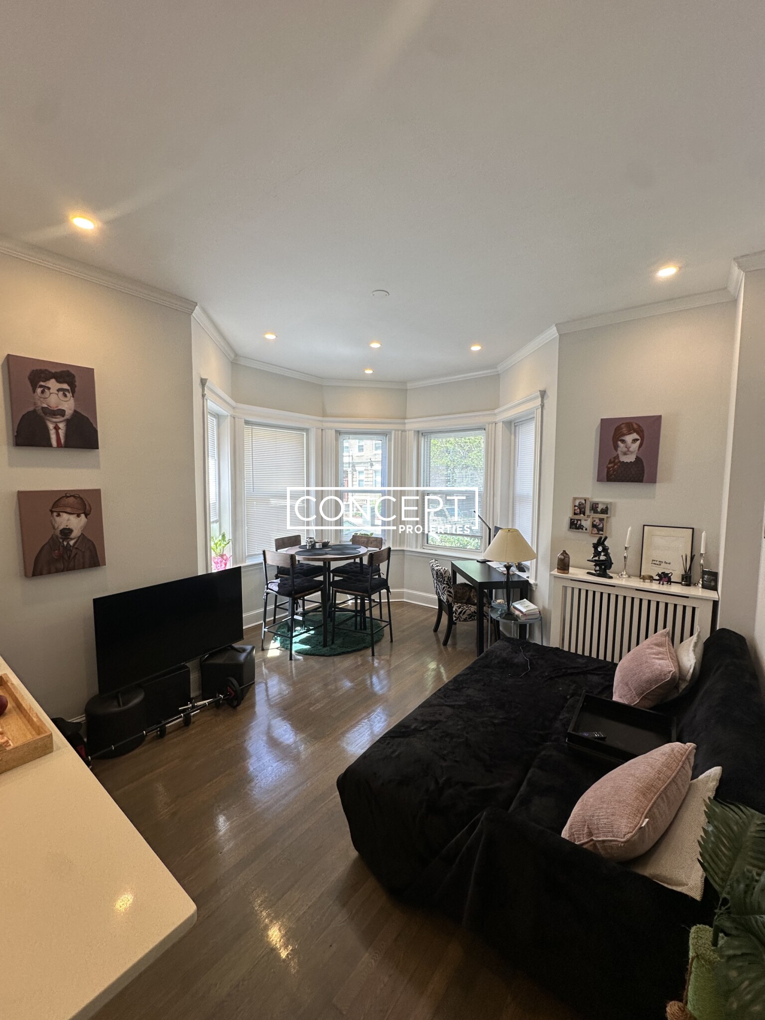 Concept Properties