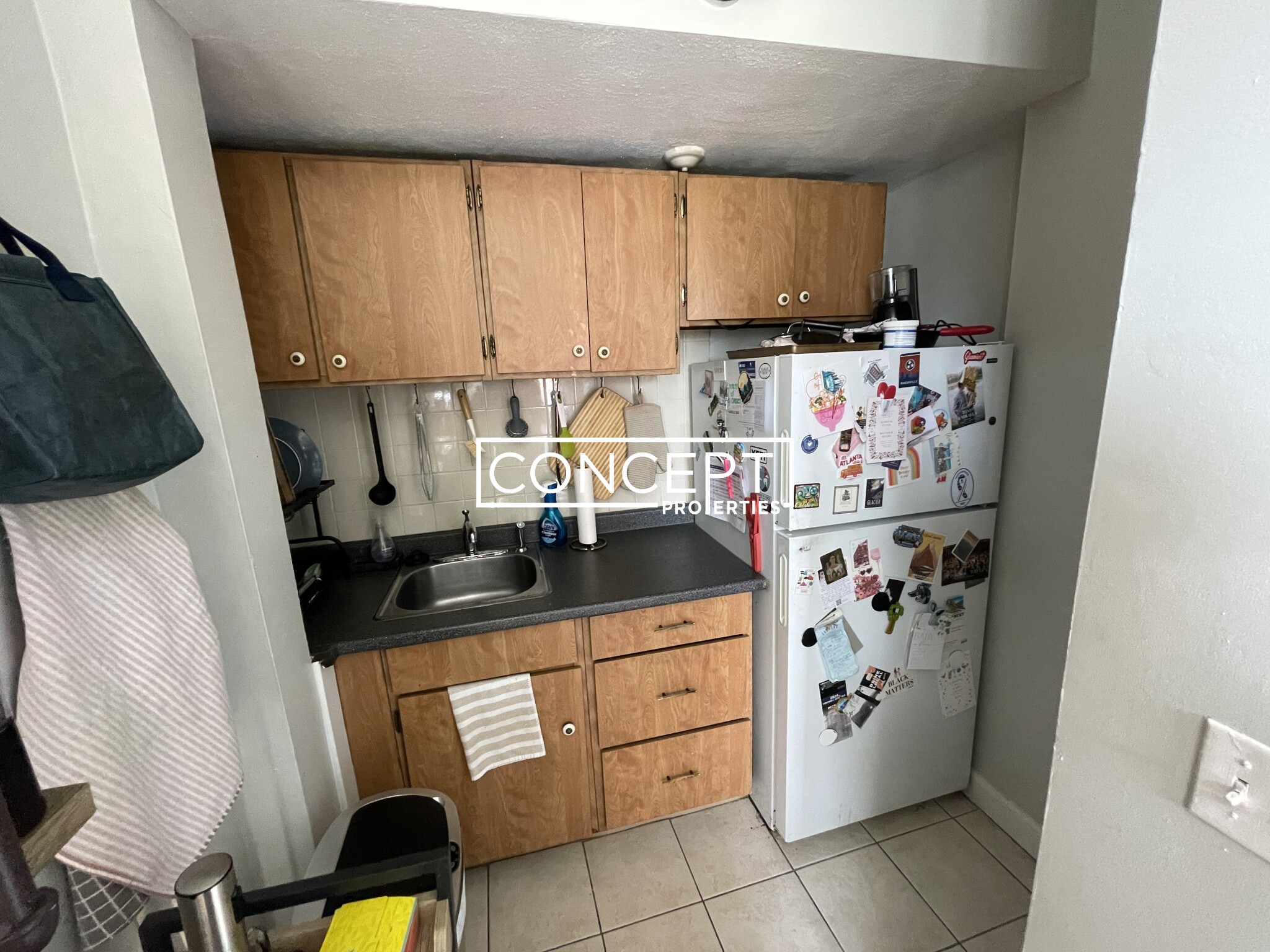 Concept Properties