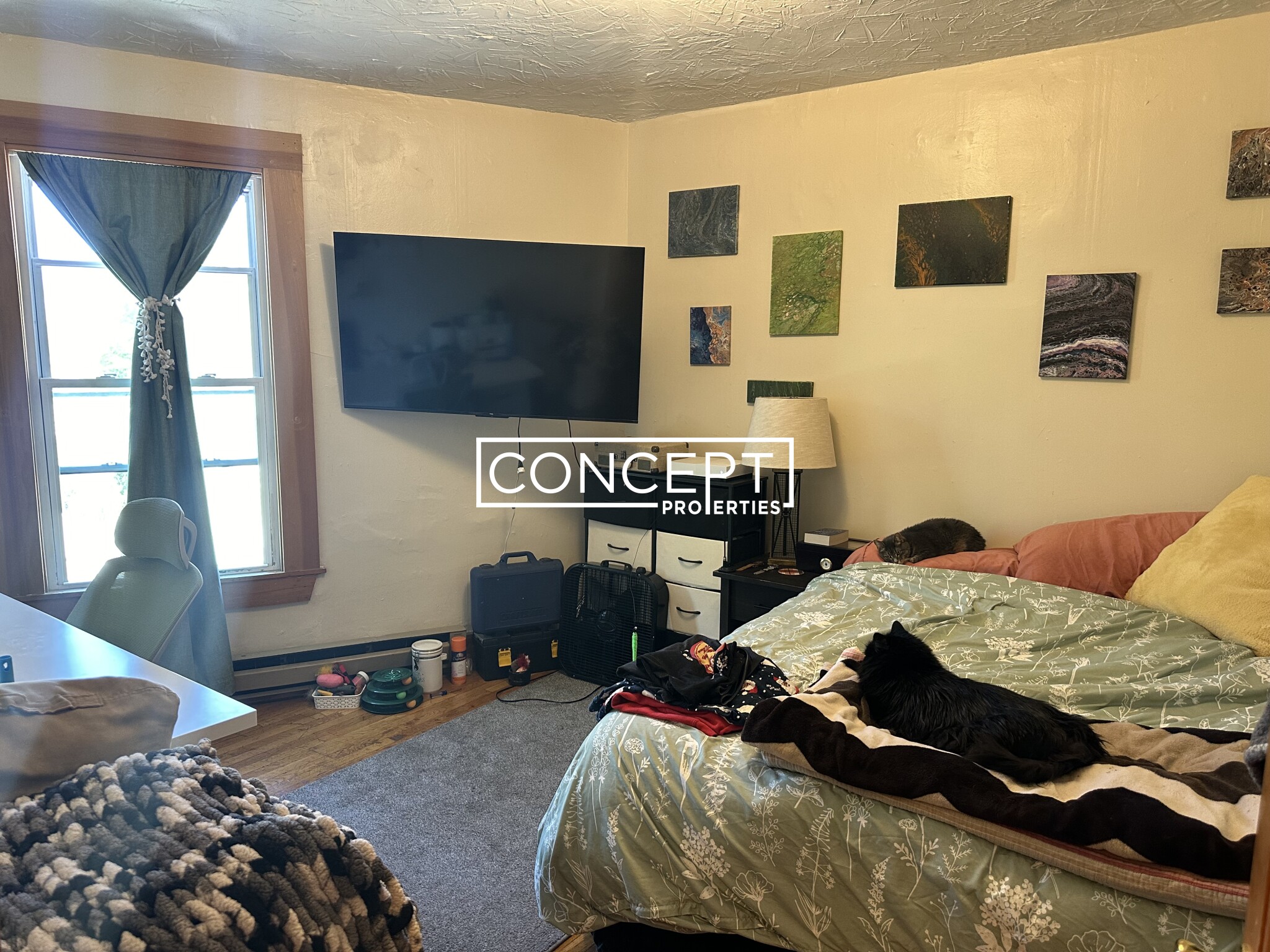 Concept Properties