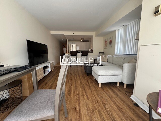 Concept Properties