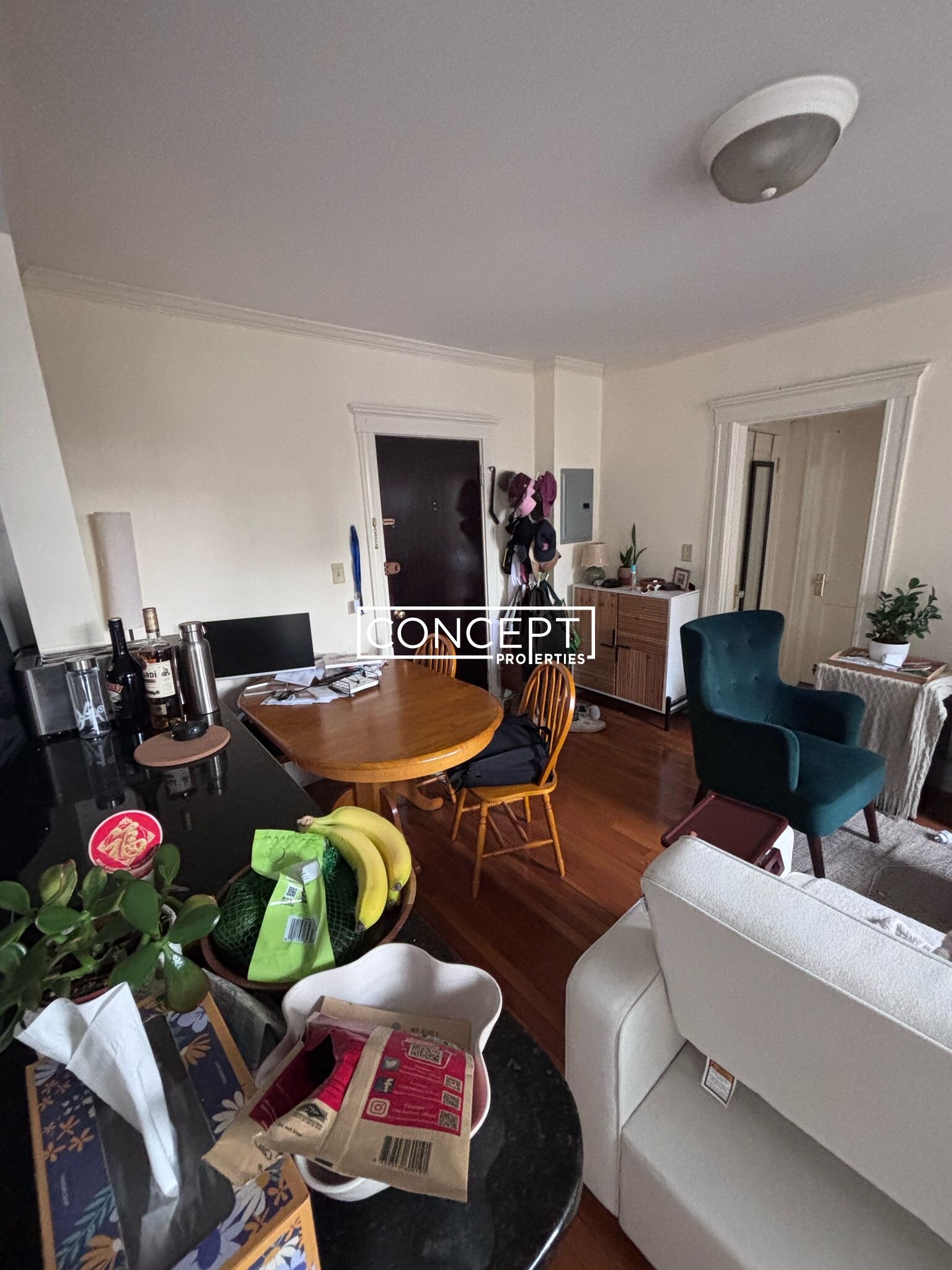 Concept Properties