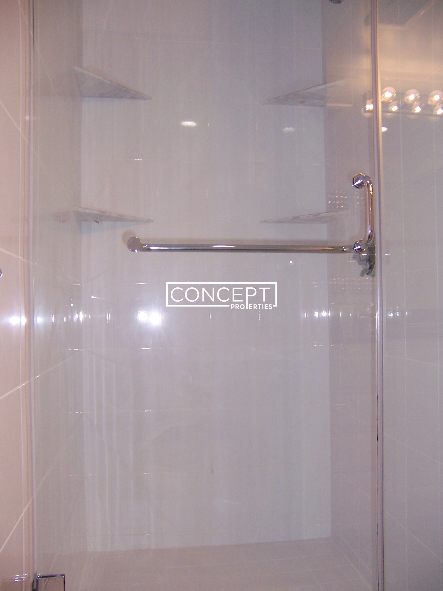 Concept Properties