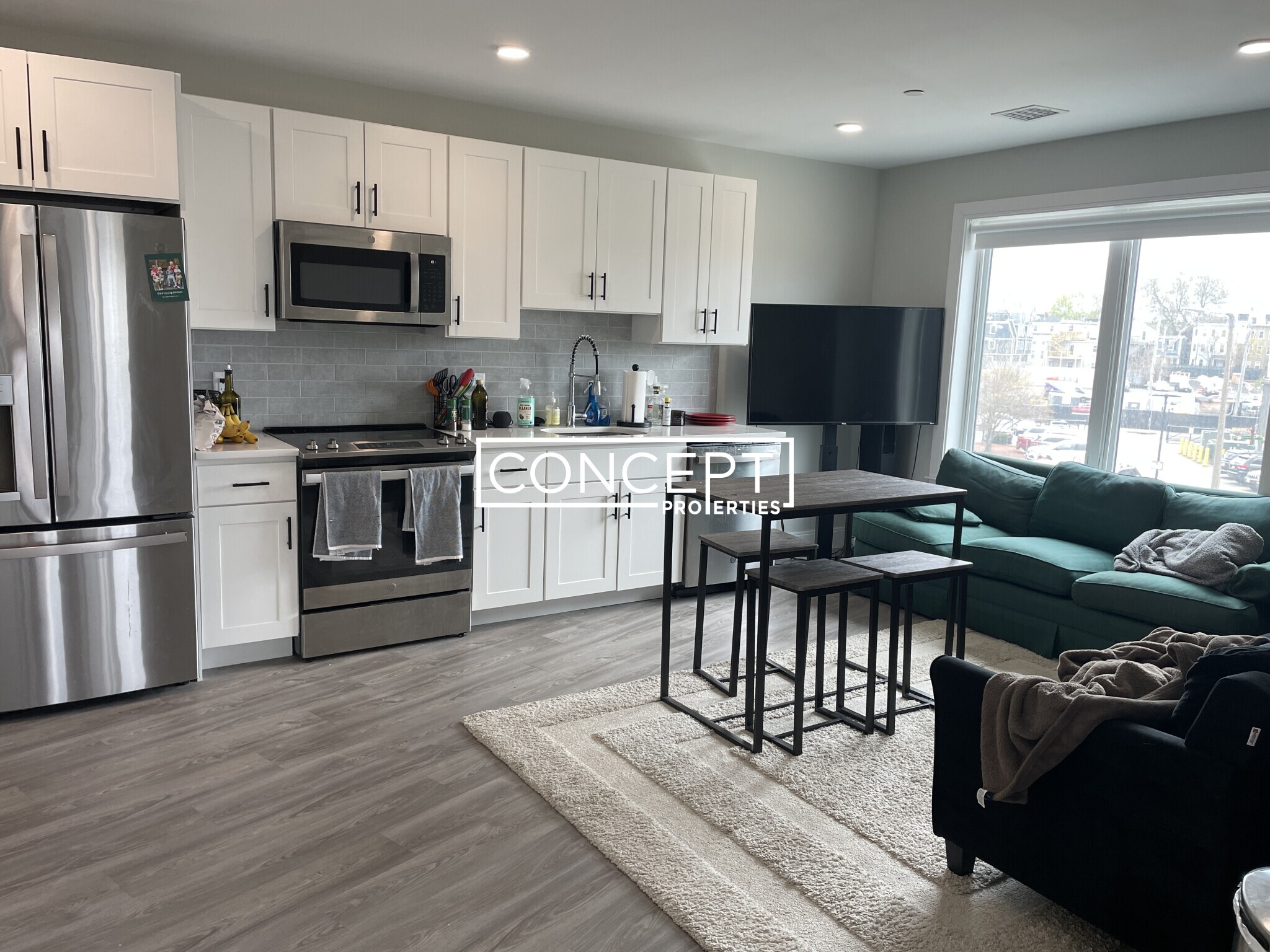 Concept Properties