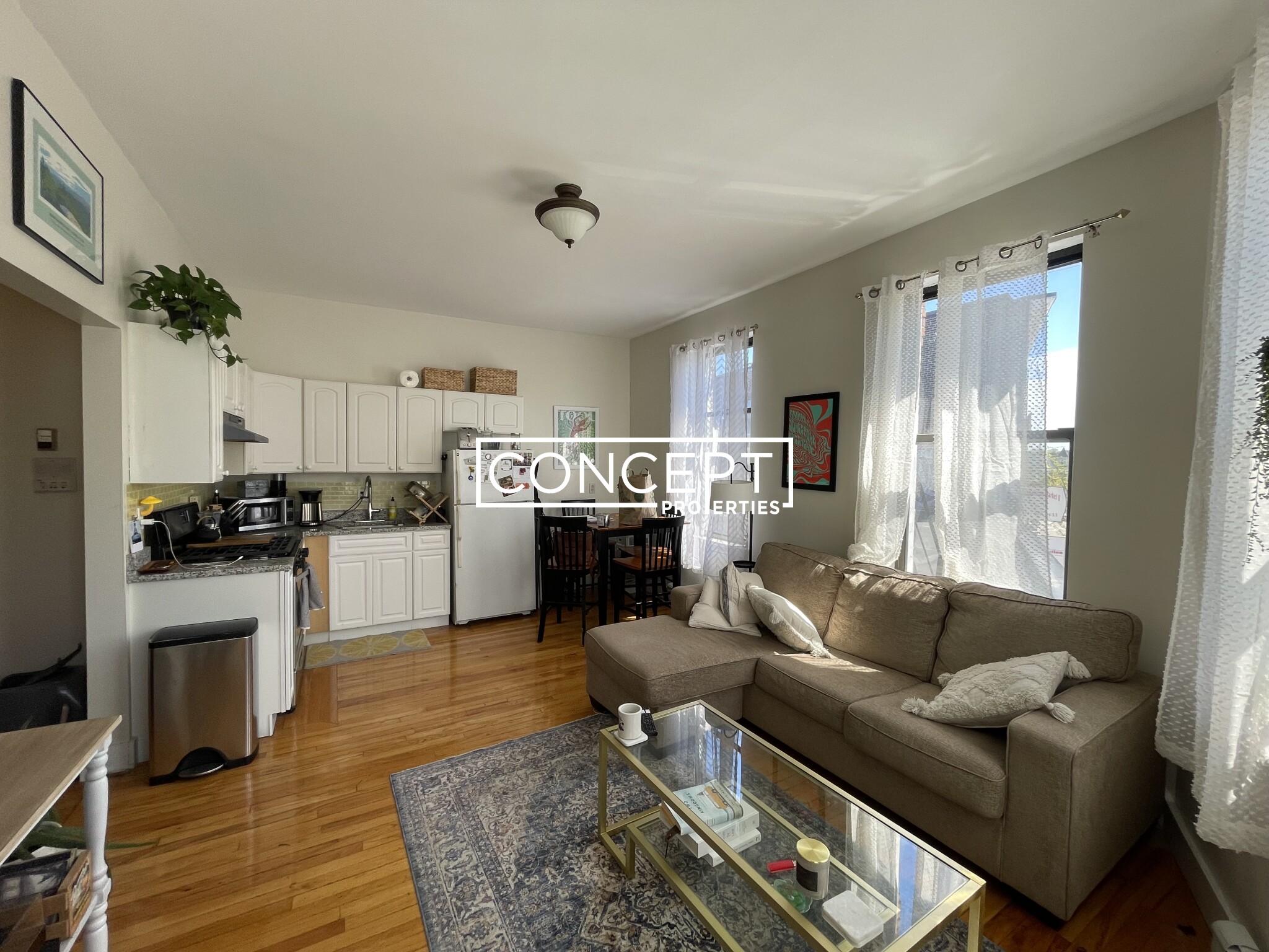 Concept Properties