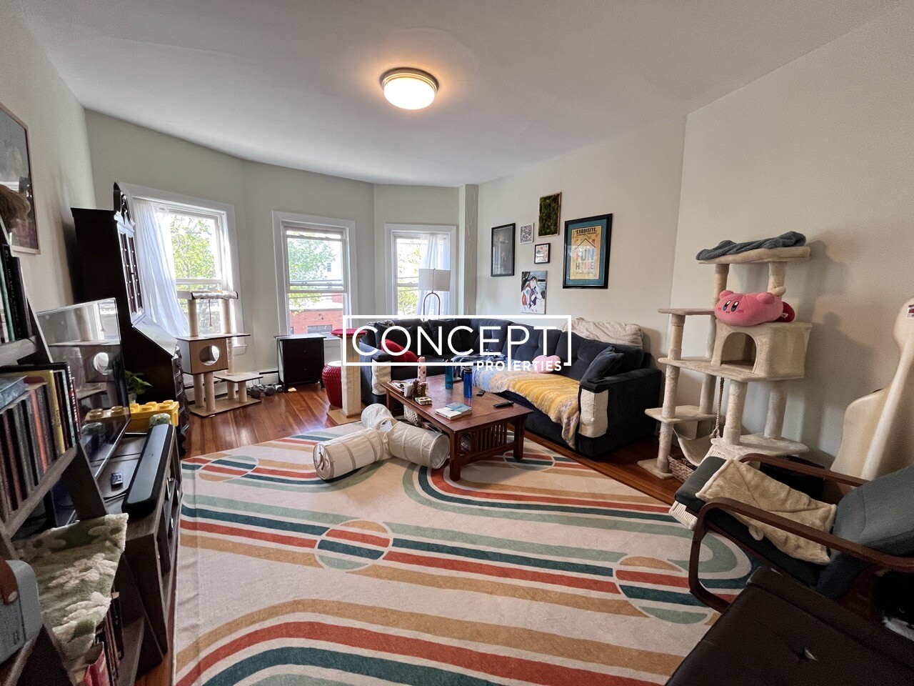 Concept Properties