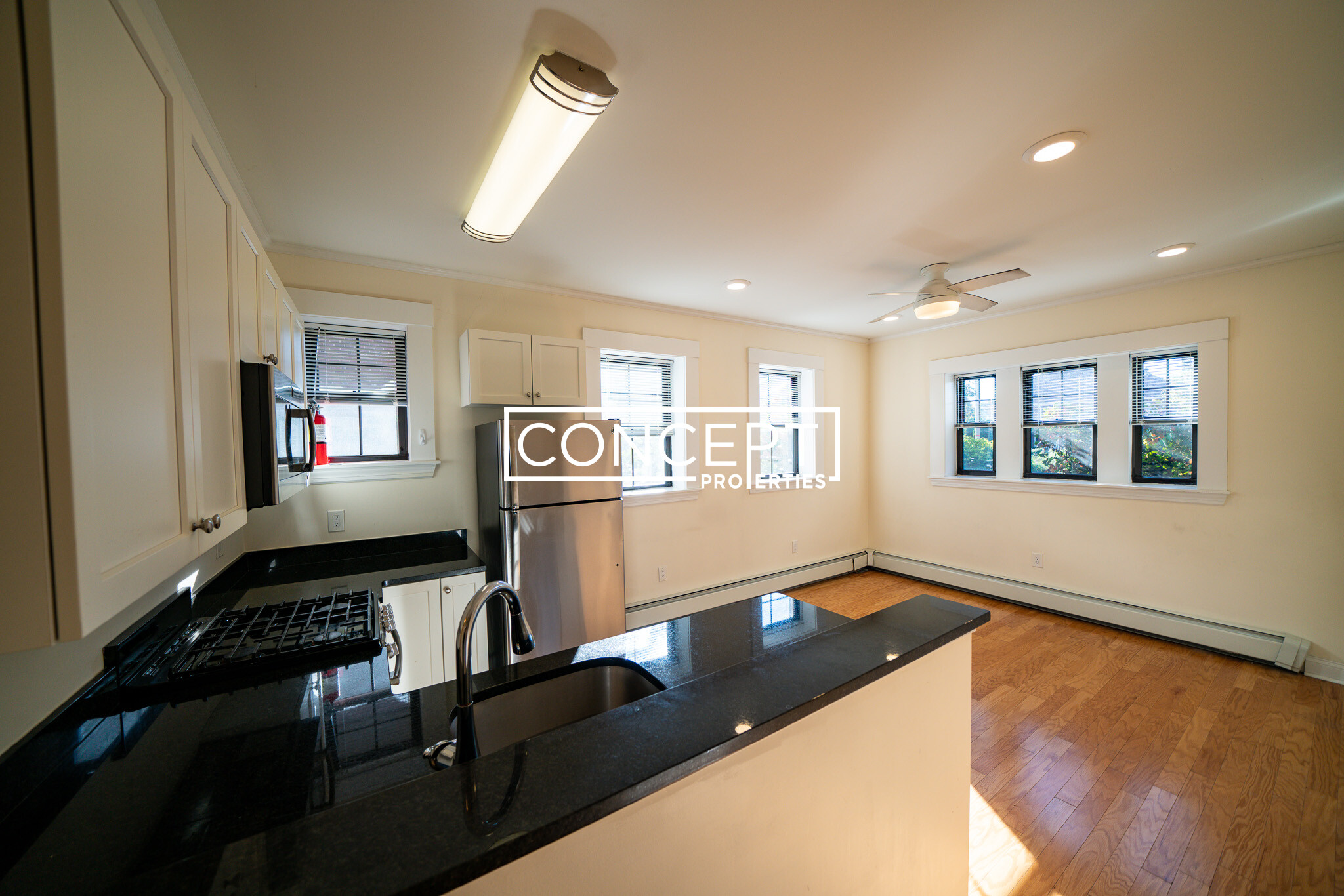 Concept Properties