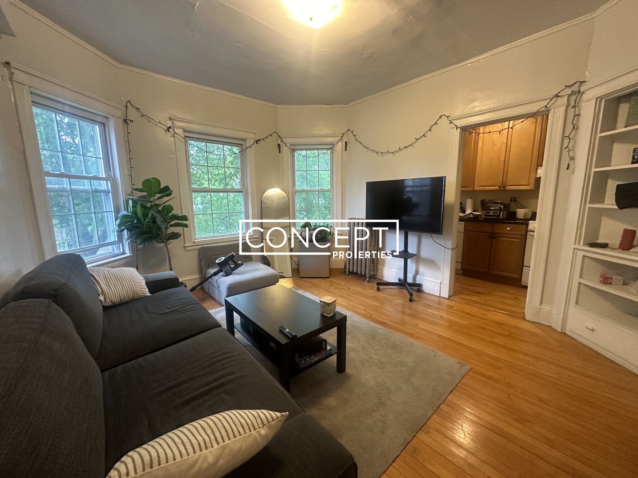 Concept Properties