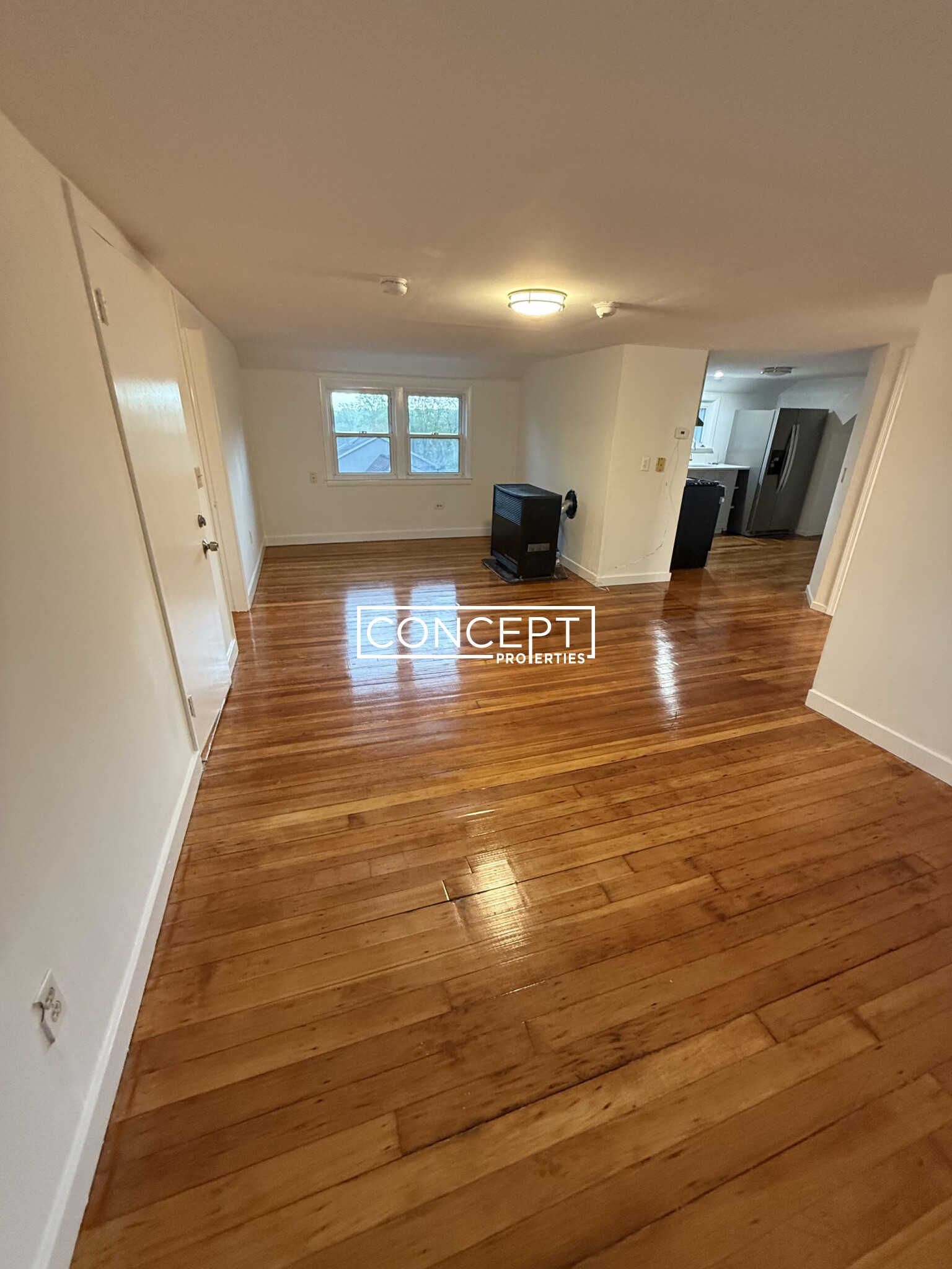 Concept Properties