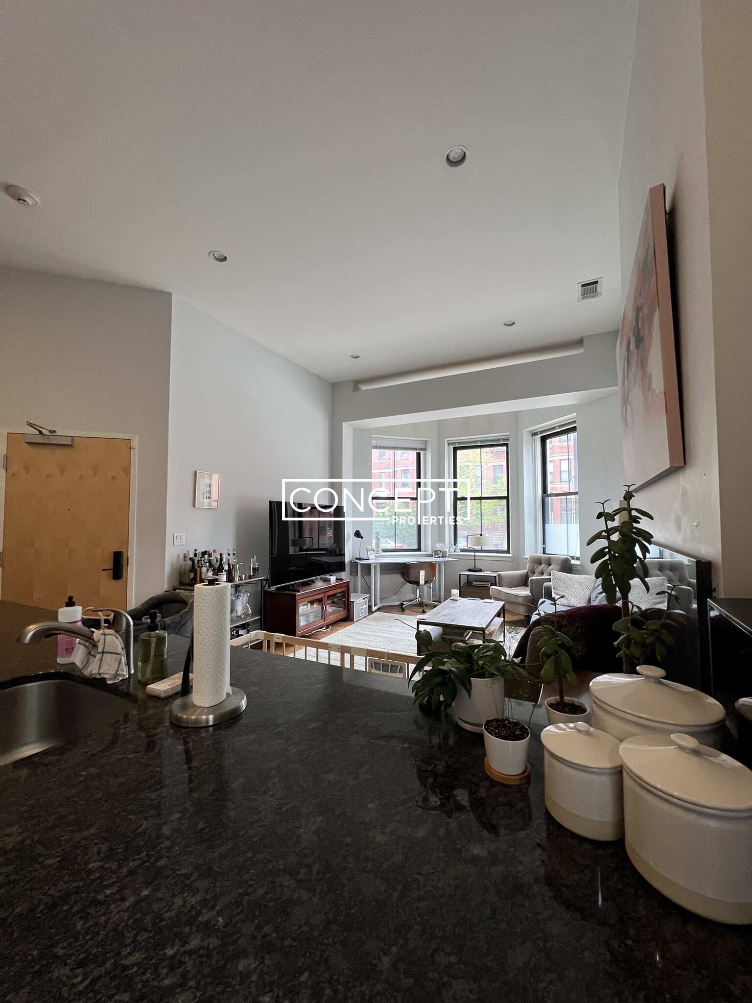 Concept Properties
