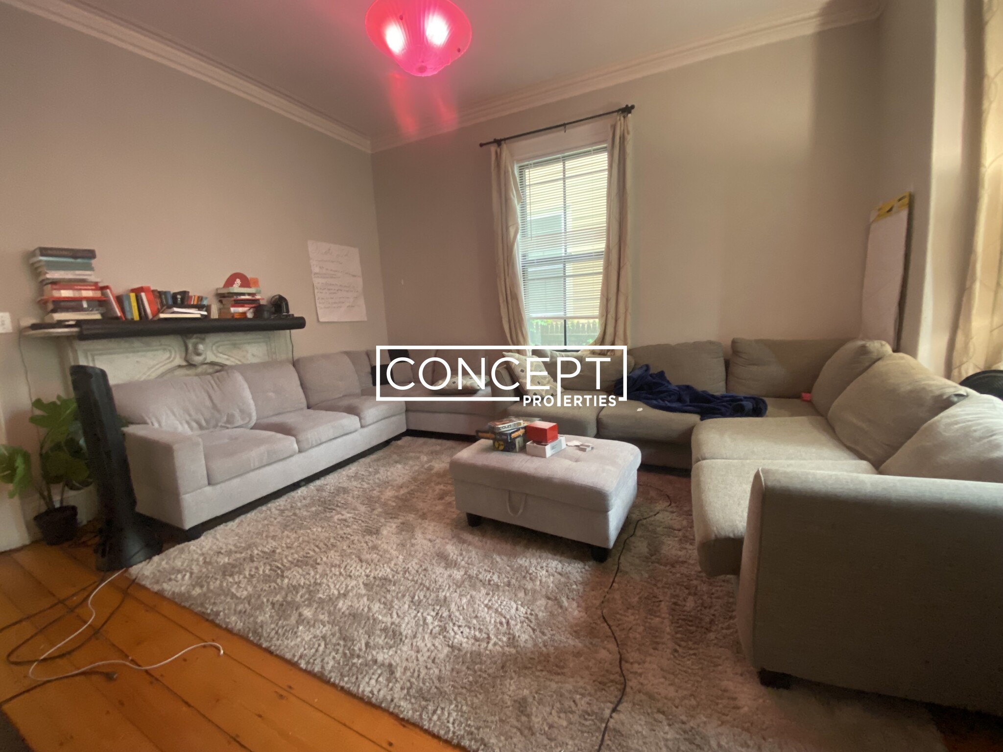 Concept Properties
