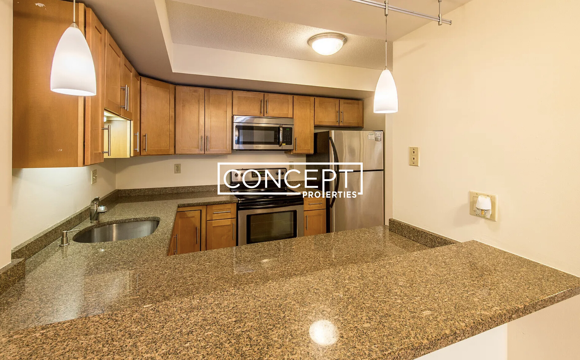 Concept Properties