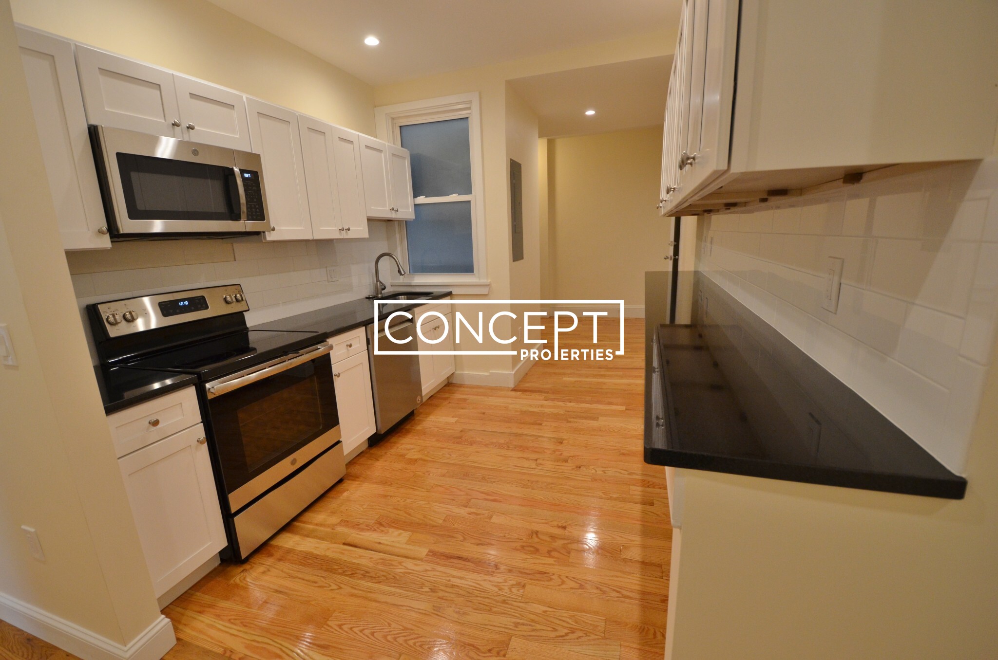 Concept Properties