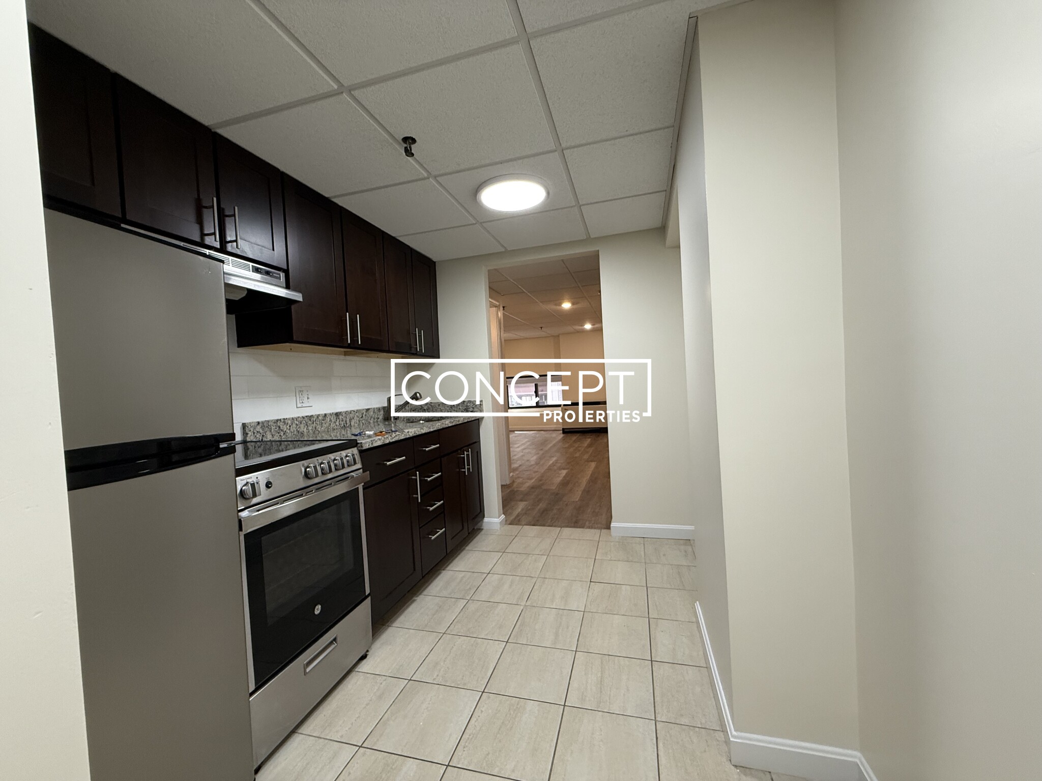 Concept Properties