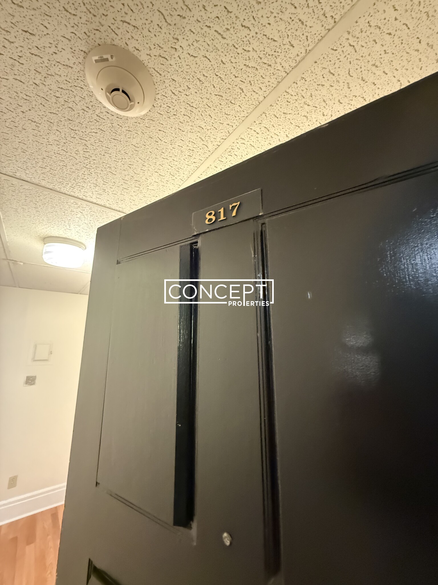 Concept Properties