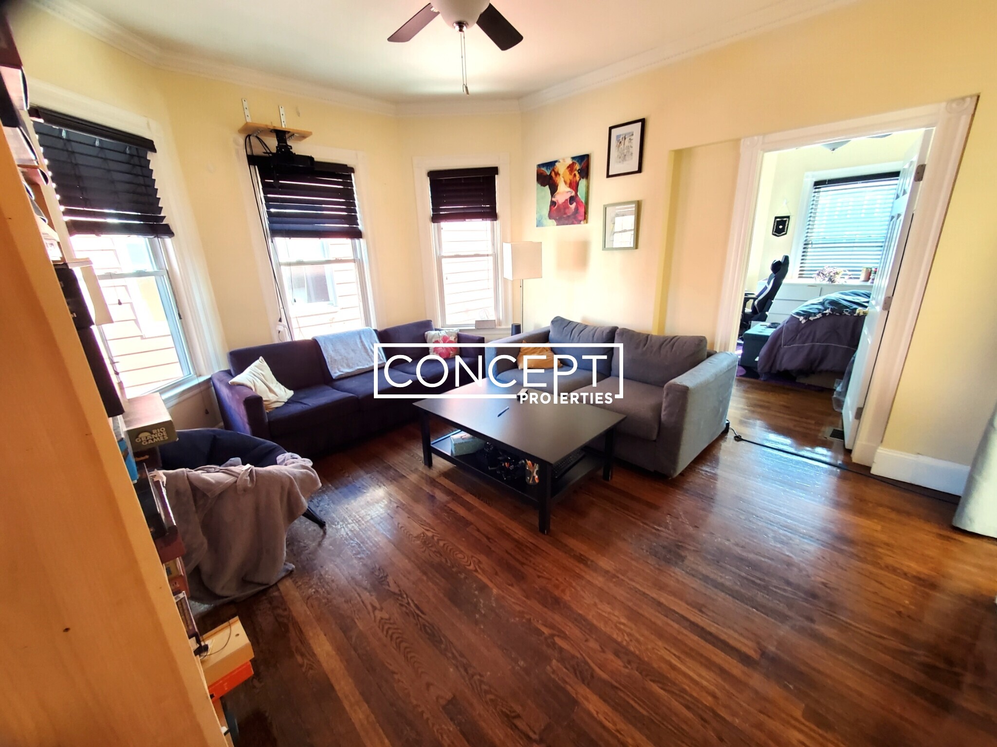 Concept Properties