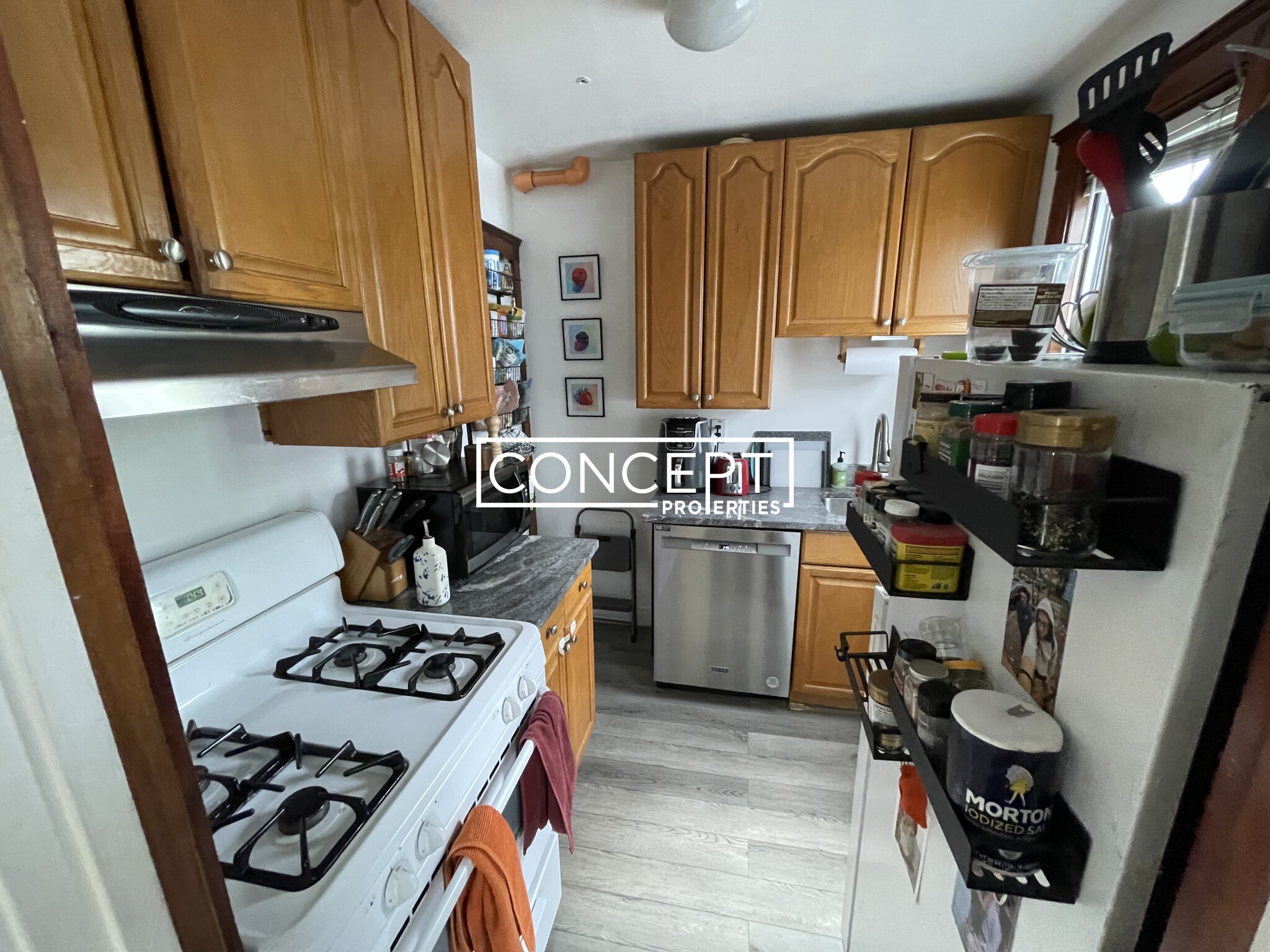 Concept Properties