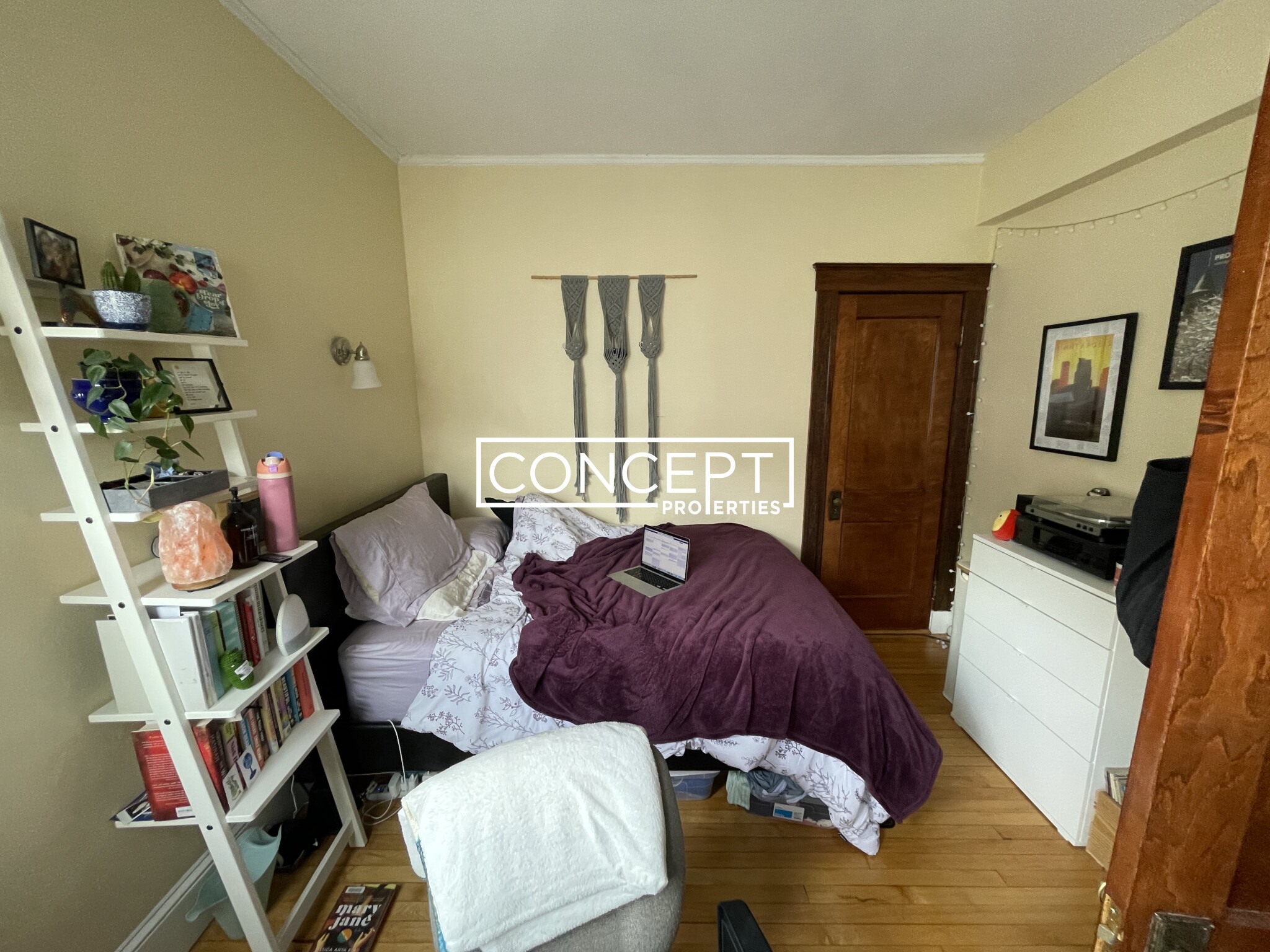 Concept Properties