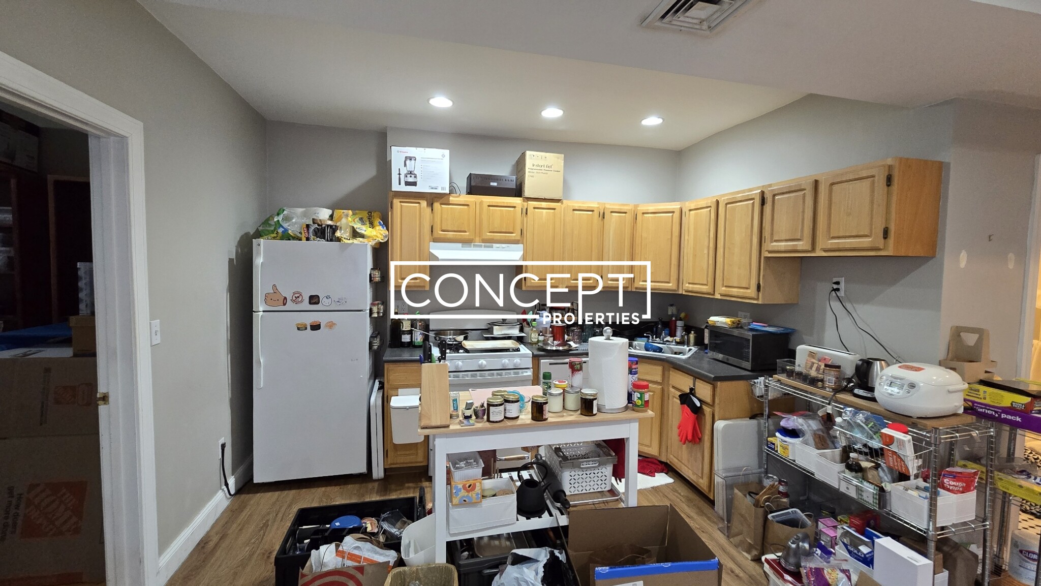 Concept Properties