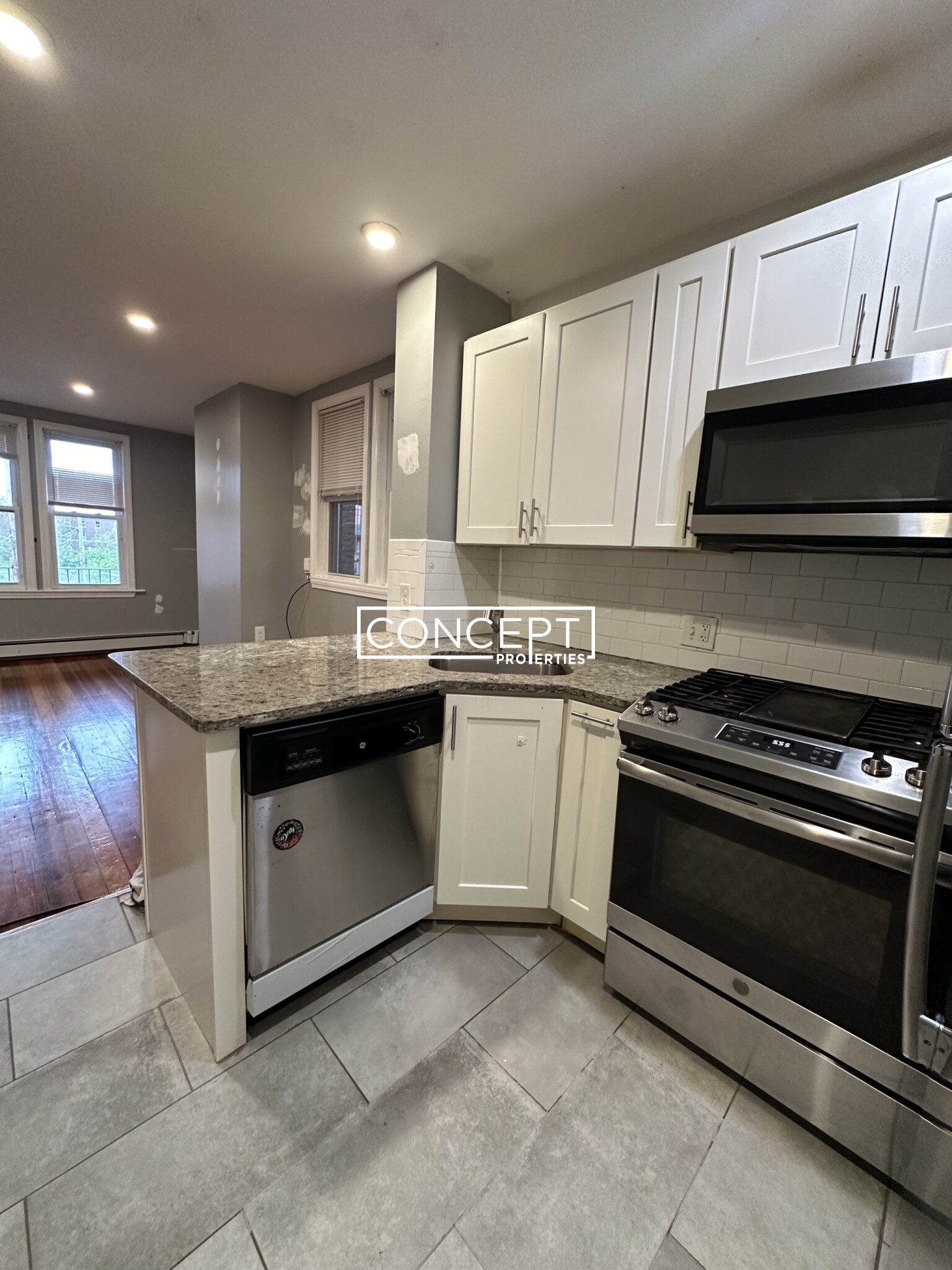 Concept Properties