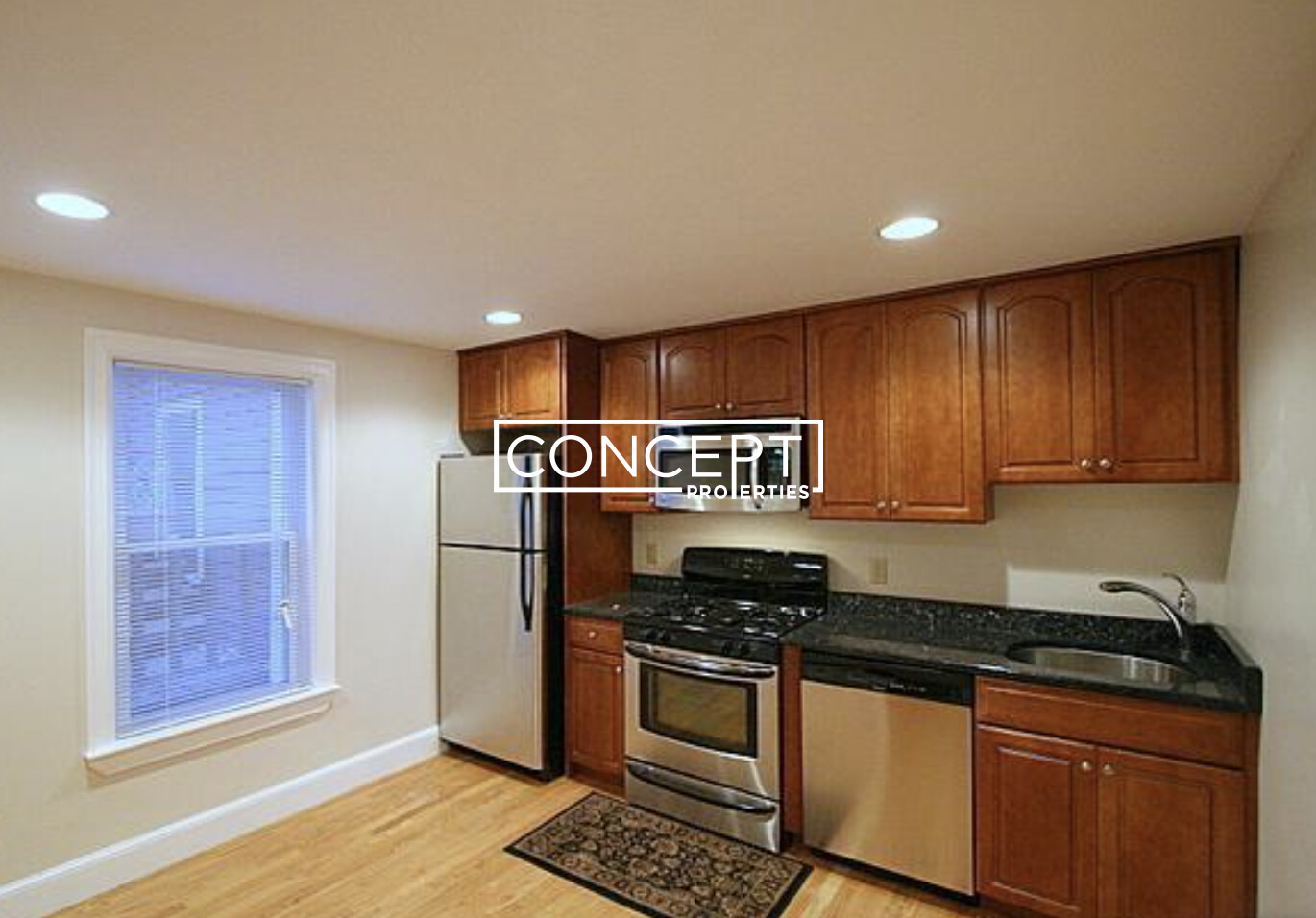 Concept Properties