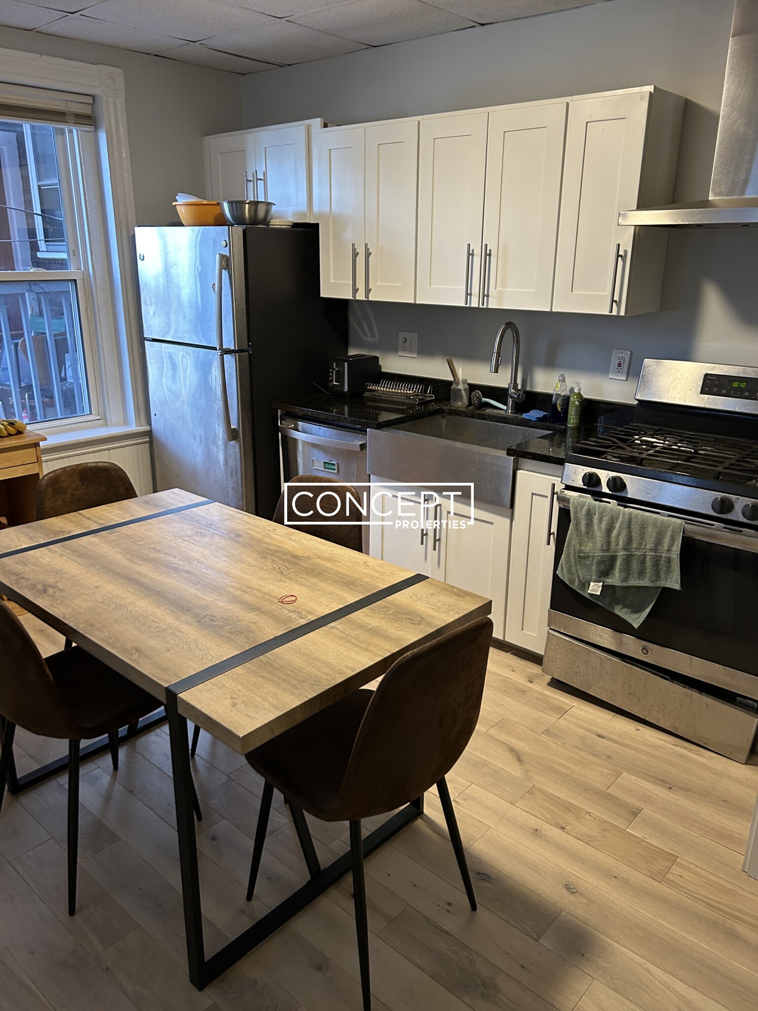 Concept Properties