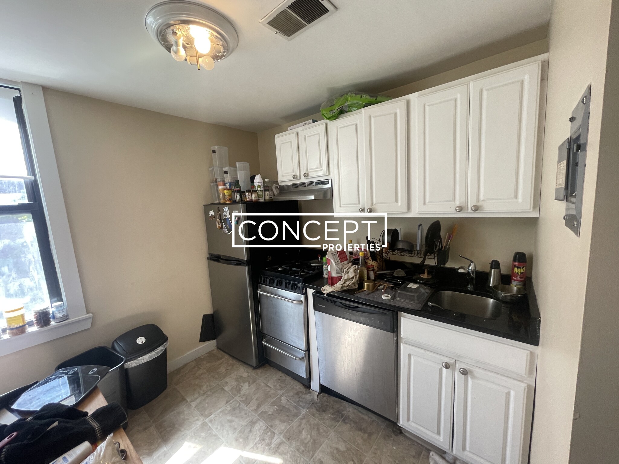 Concept Properties