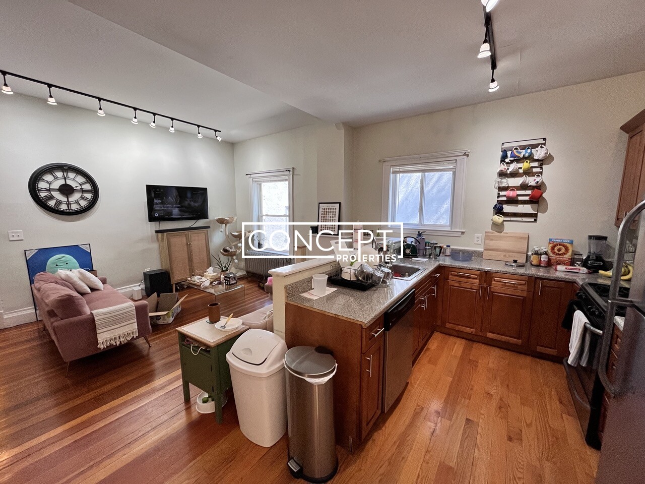 Concept Properties