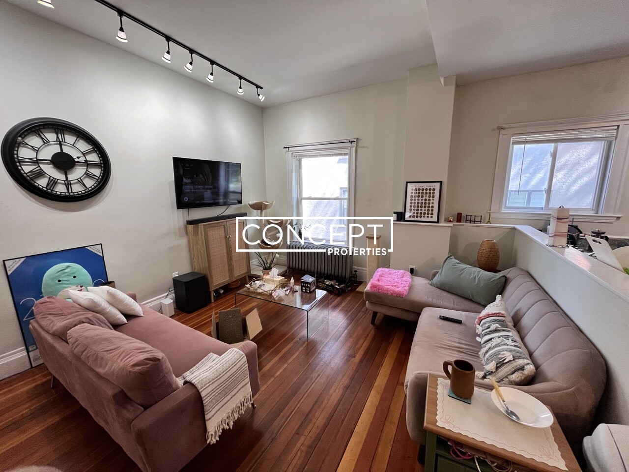 Concept Properties