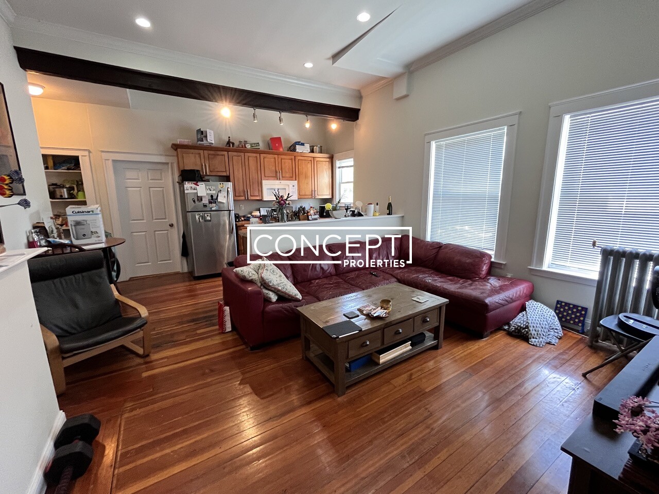 Concept Properties
