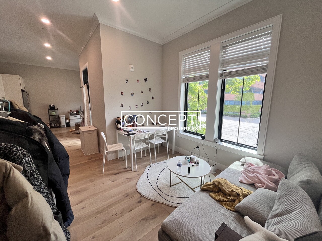 Concept Properties
