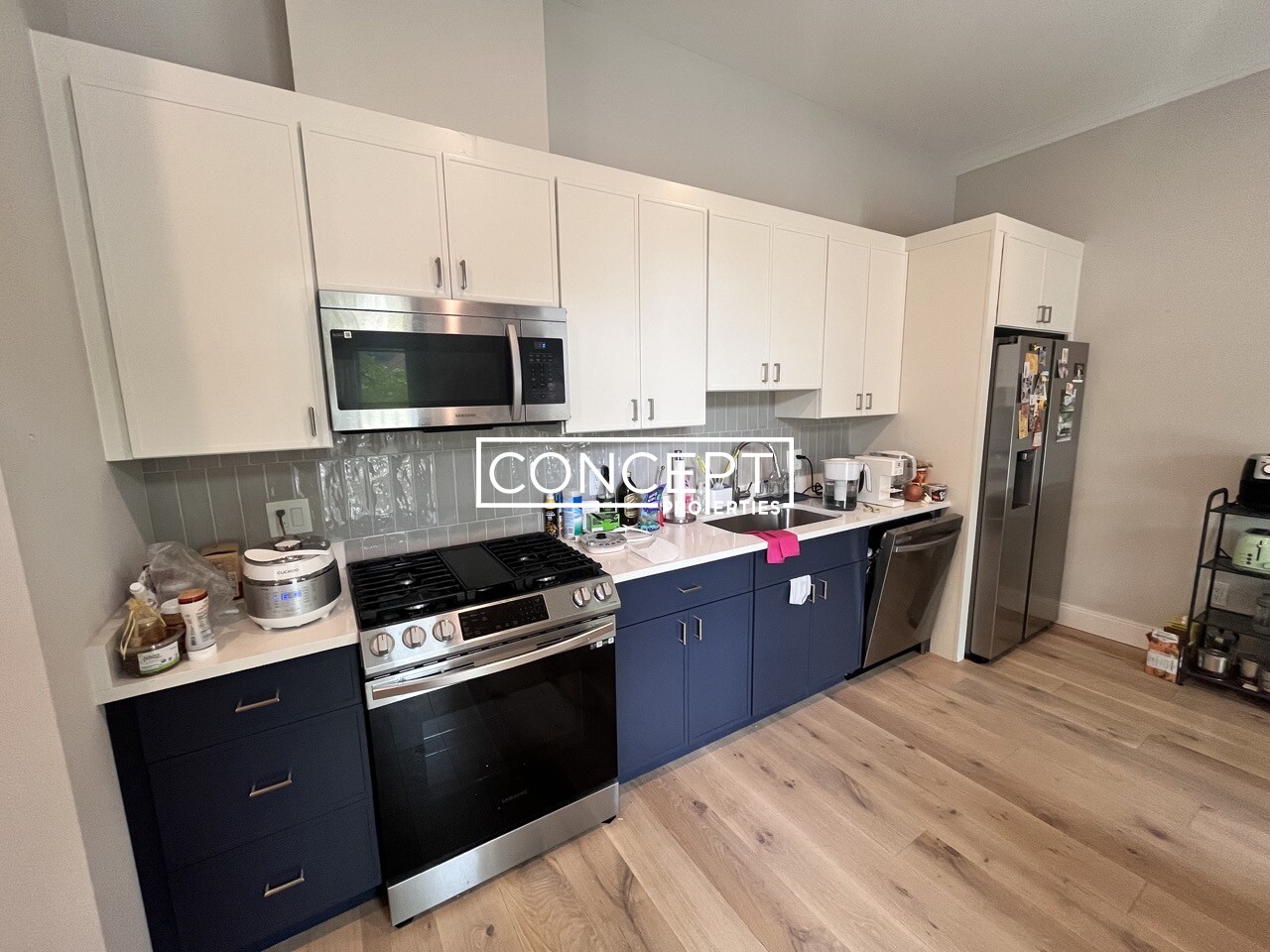 Concept Properties