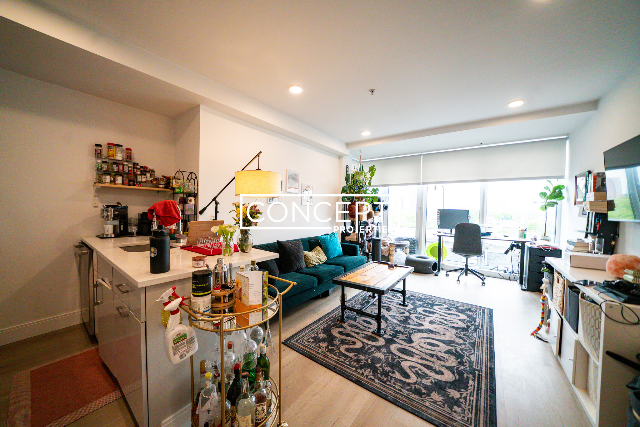 Concept Properties