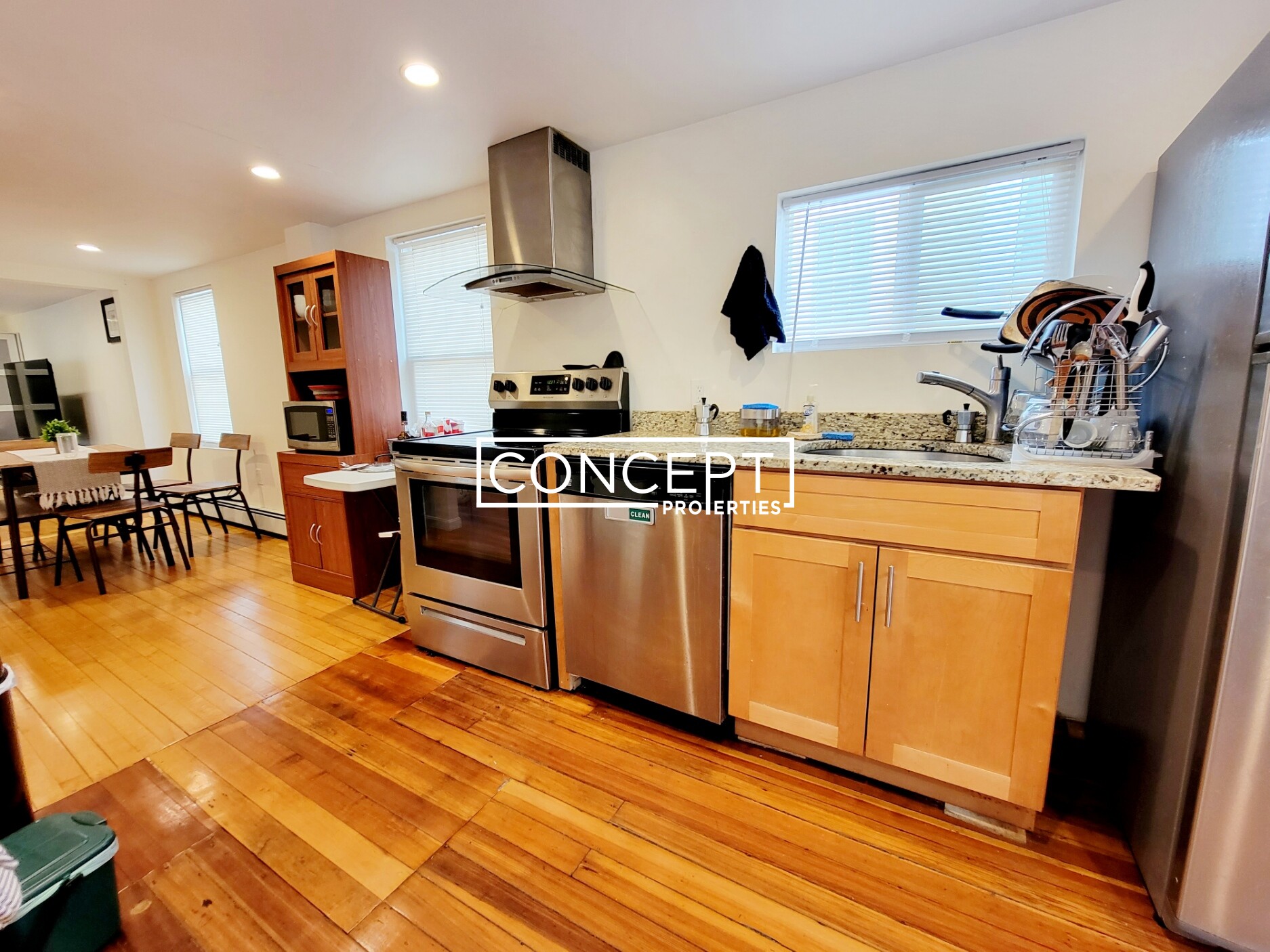 Concept Properties