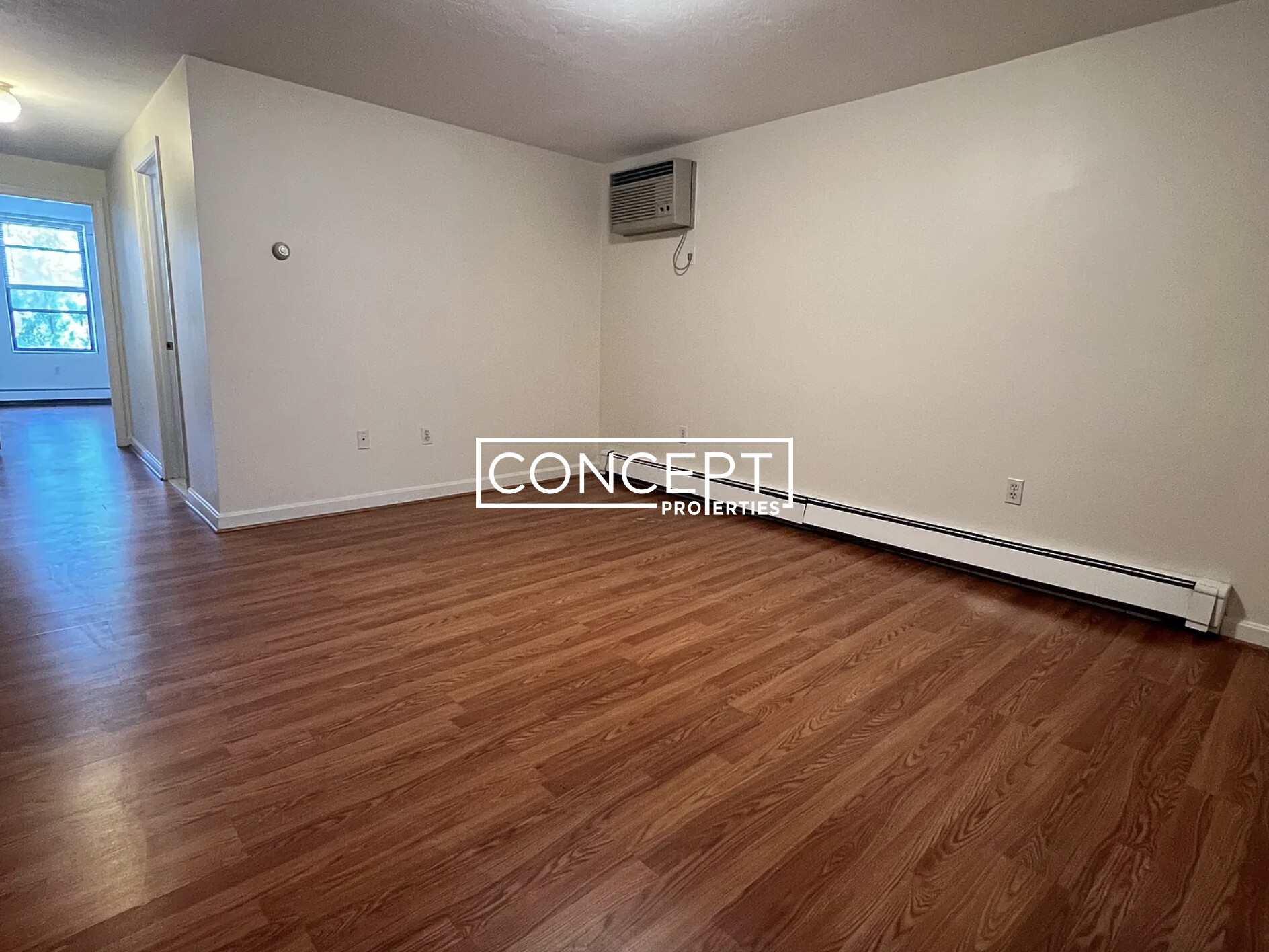 Concept Properties